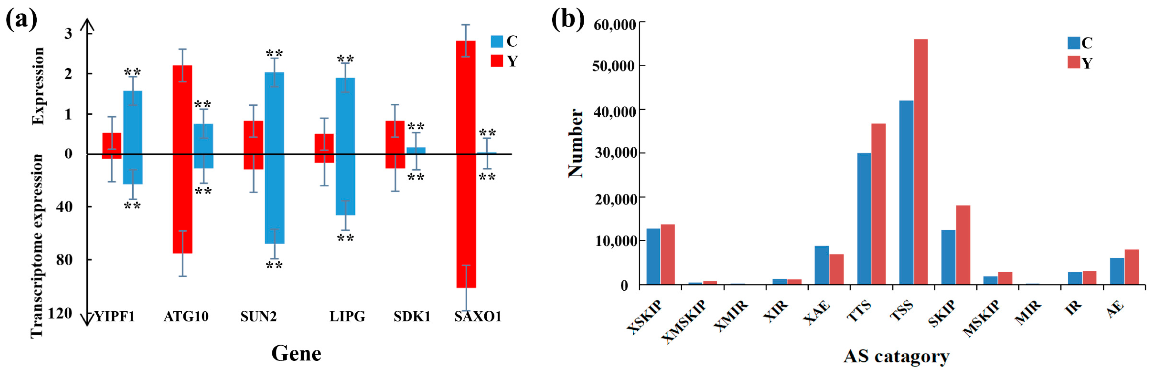 Animals 12 02711 g004