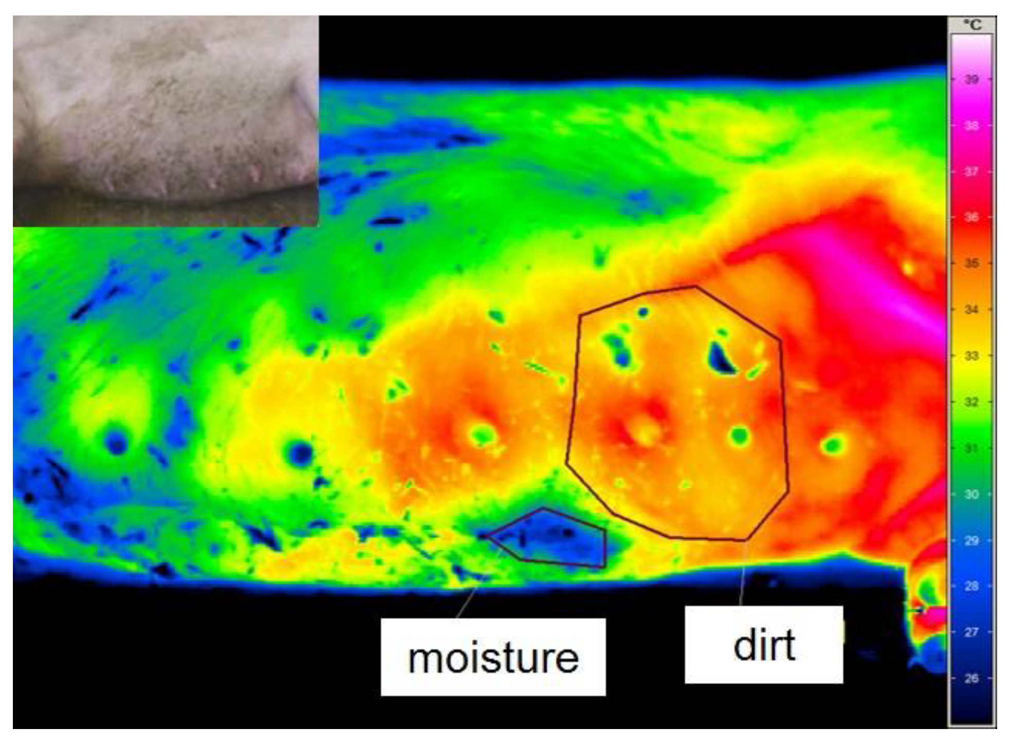 Animals 12 02713 g001