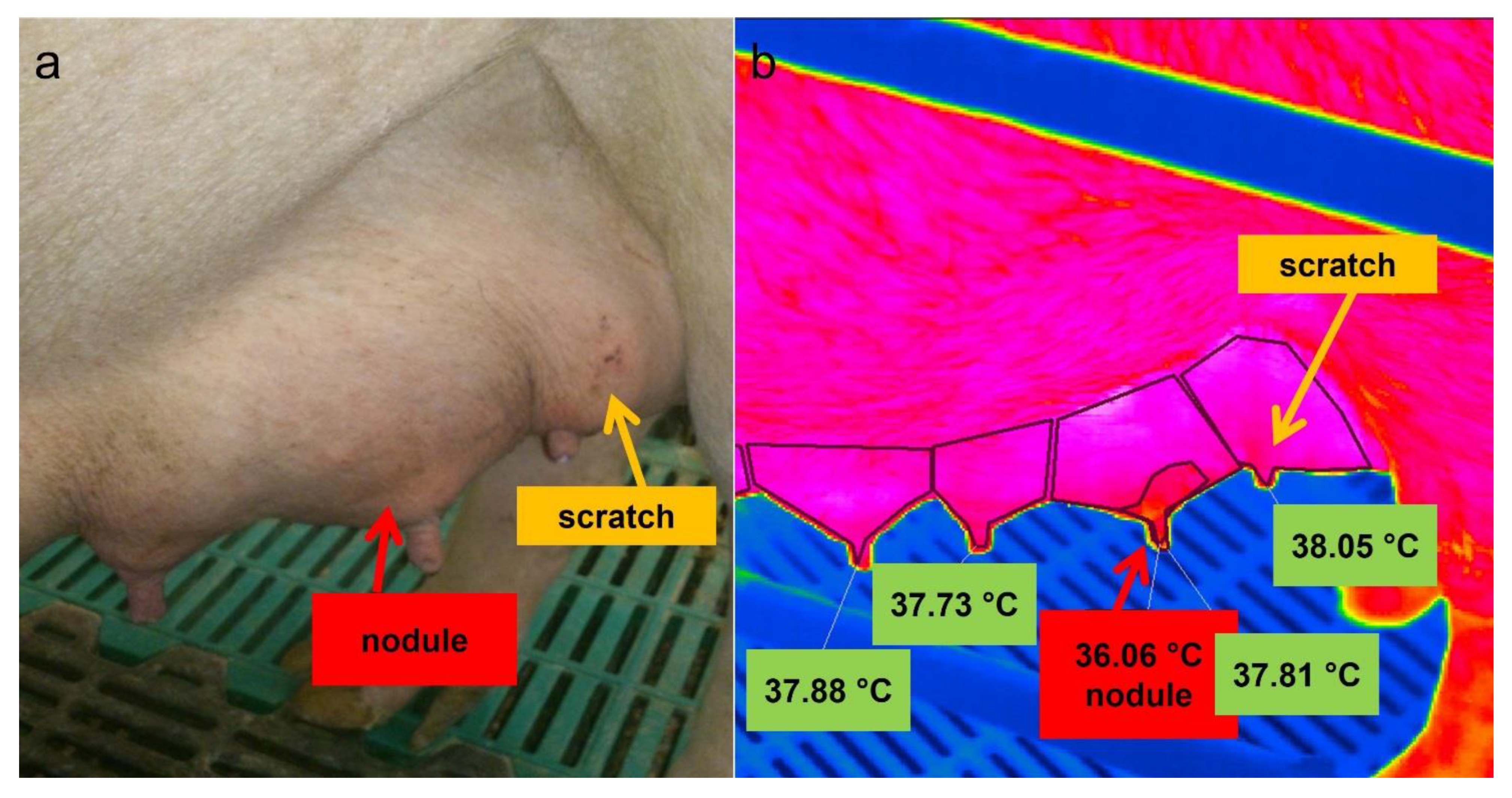 Animals 12 02713 g006