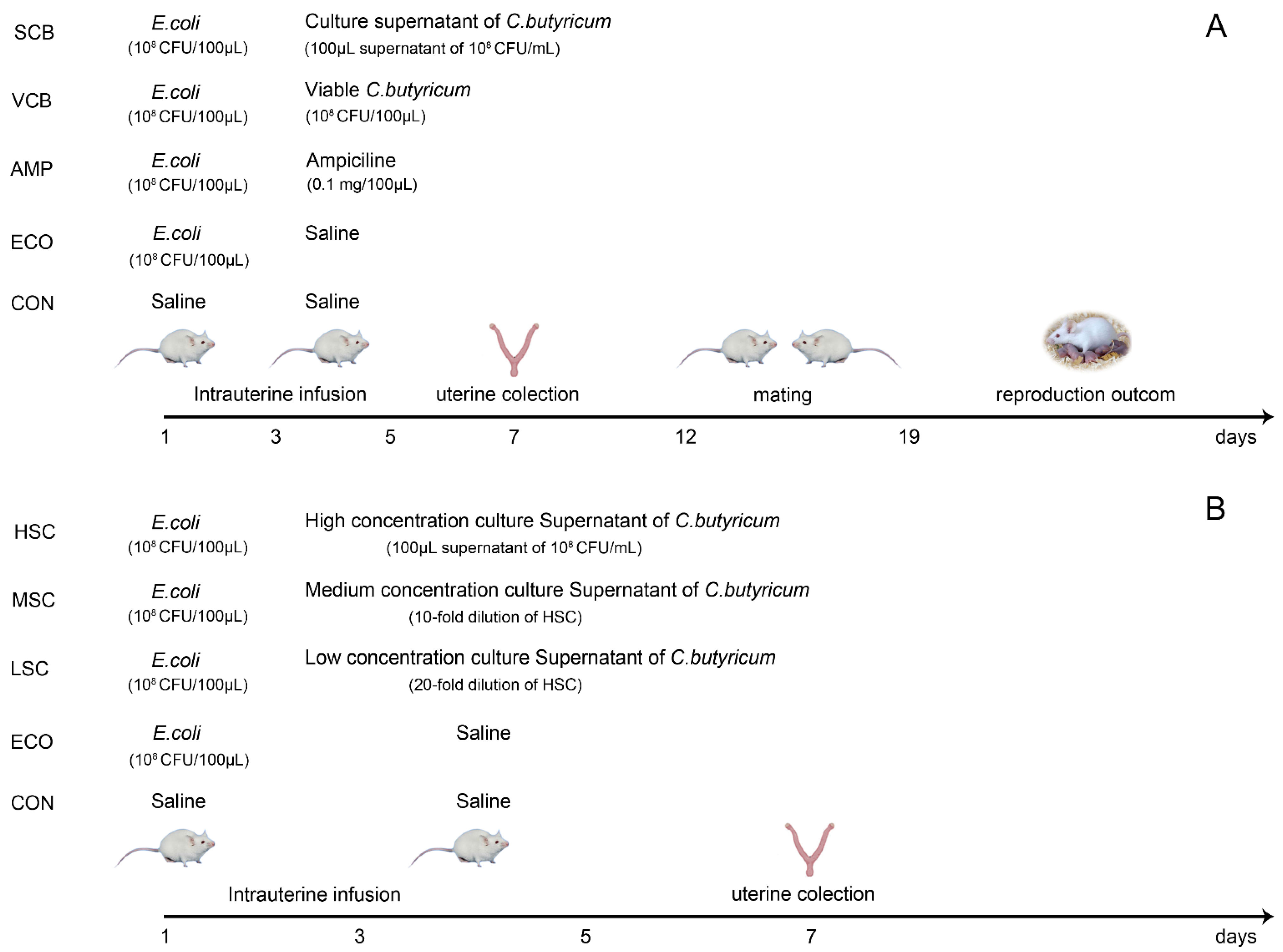 Animals 12 02719 g001