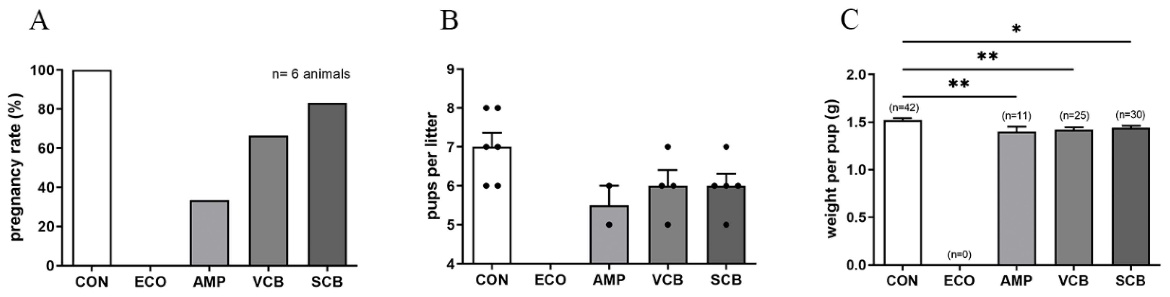 Animals 12 02719 g005