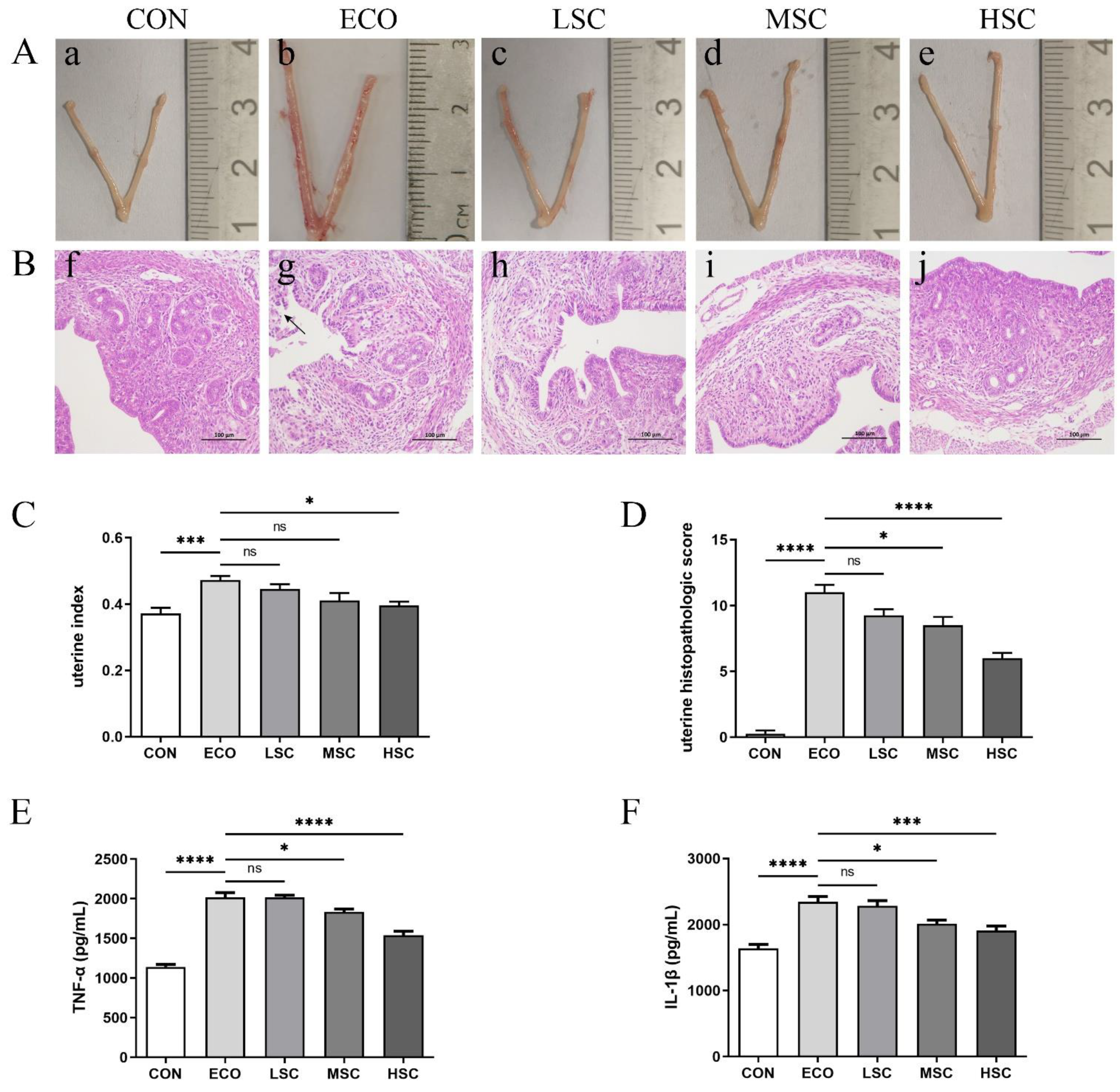 Animals 12 02719 g006