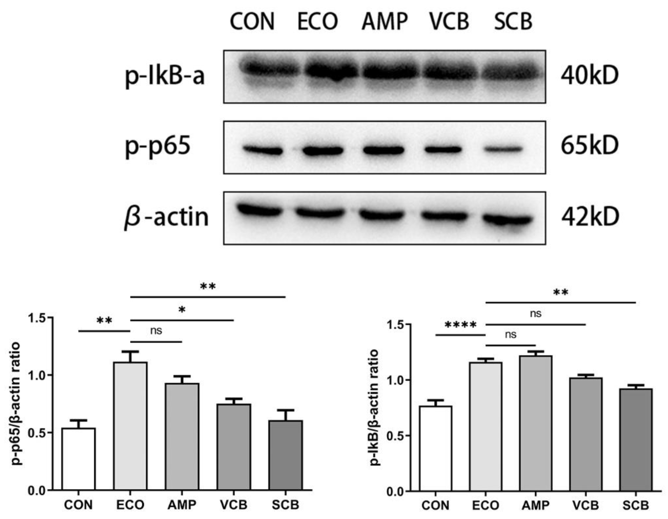 Animals 12 02719 g007