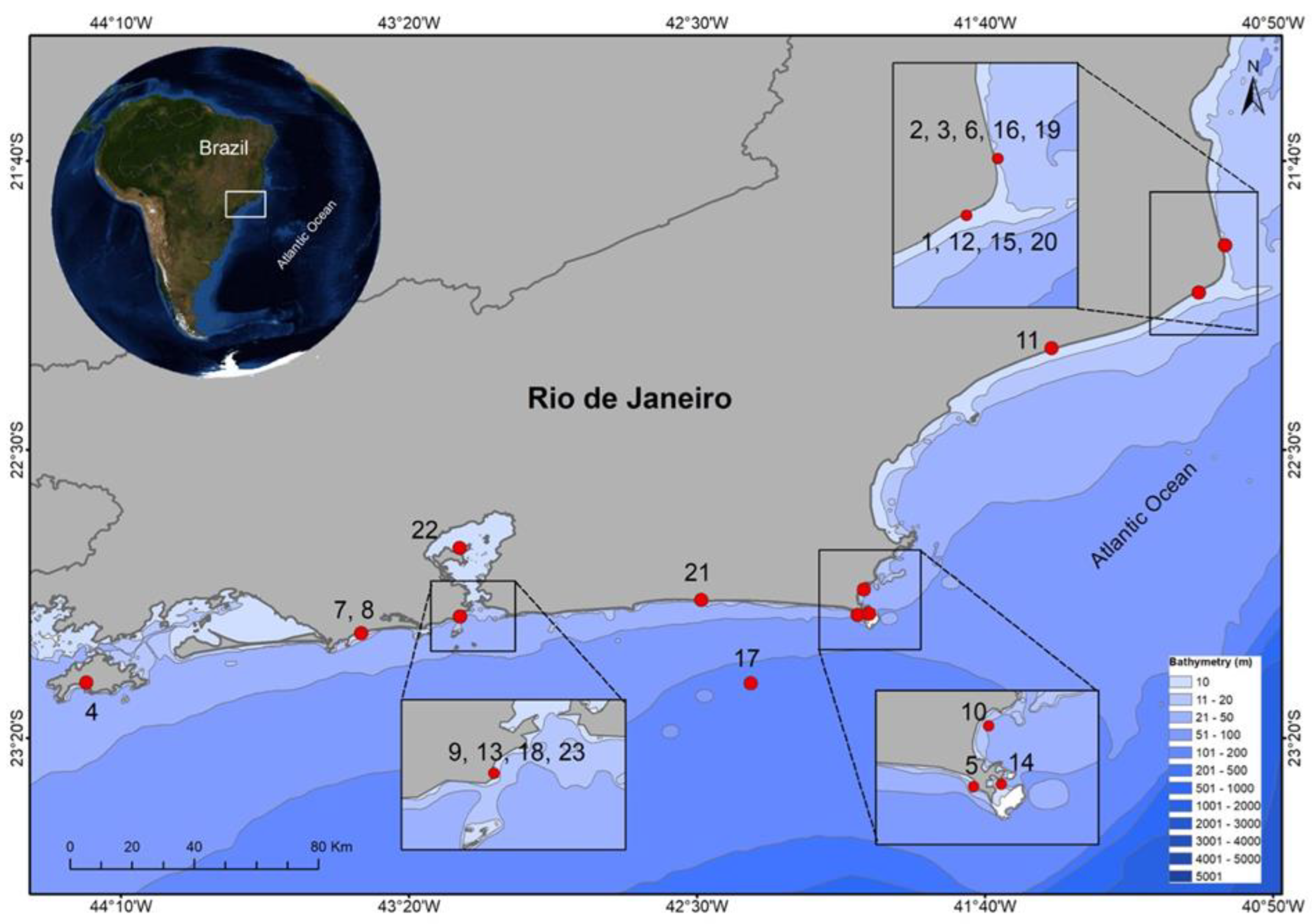 Animals 12 02774 g002