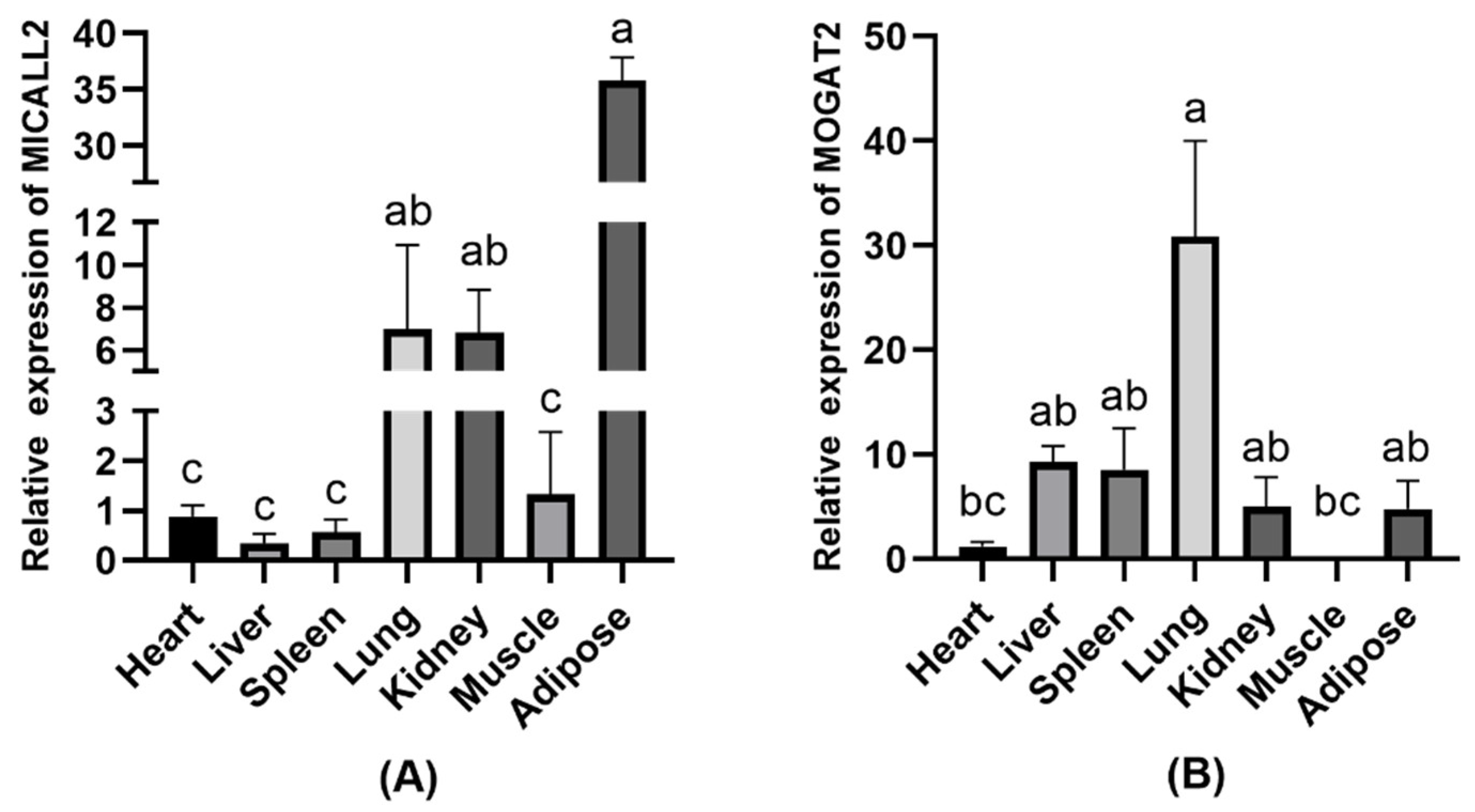 Animals 12 02779 g002 Animals 12 02779 g002