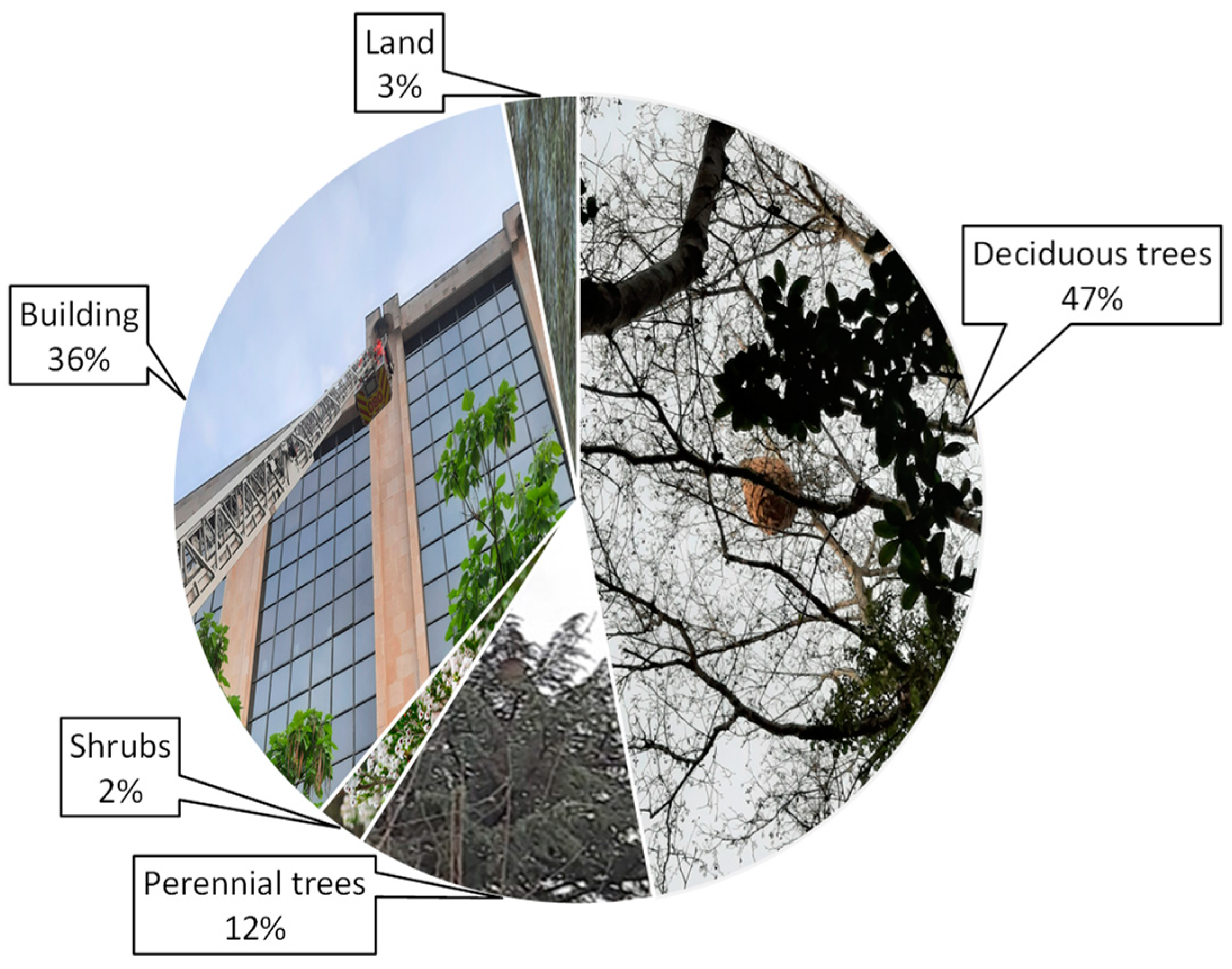 Animals 12 02781 g002