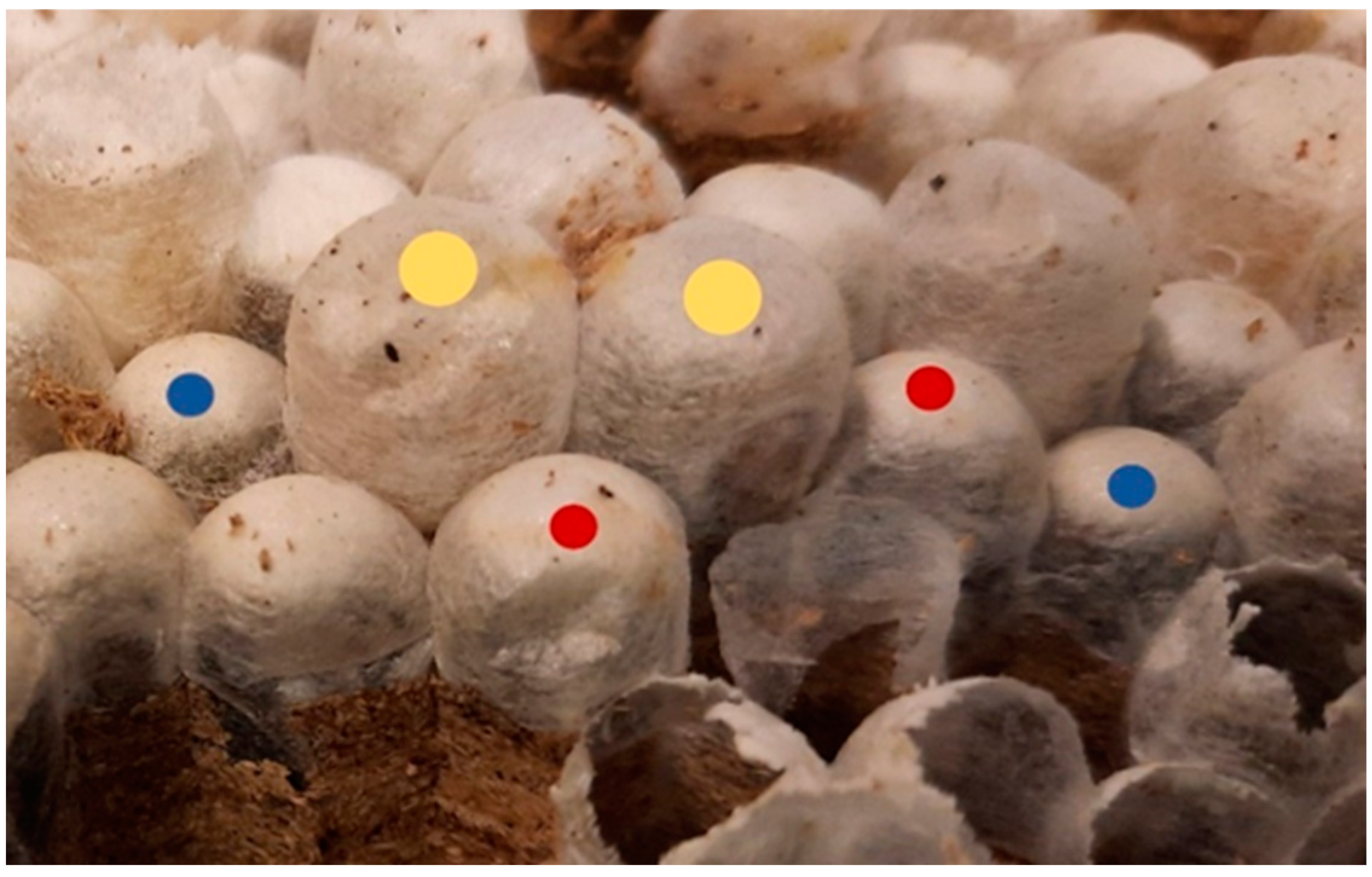 Animals 12 02781 g007