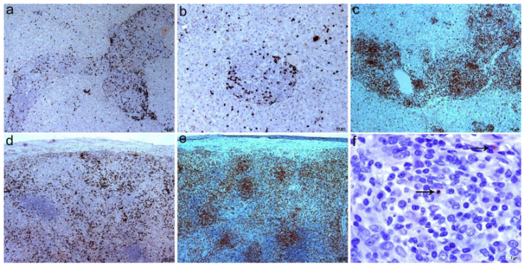 Animals 12 02784 g006