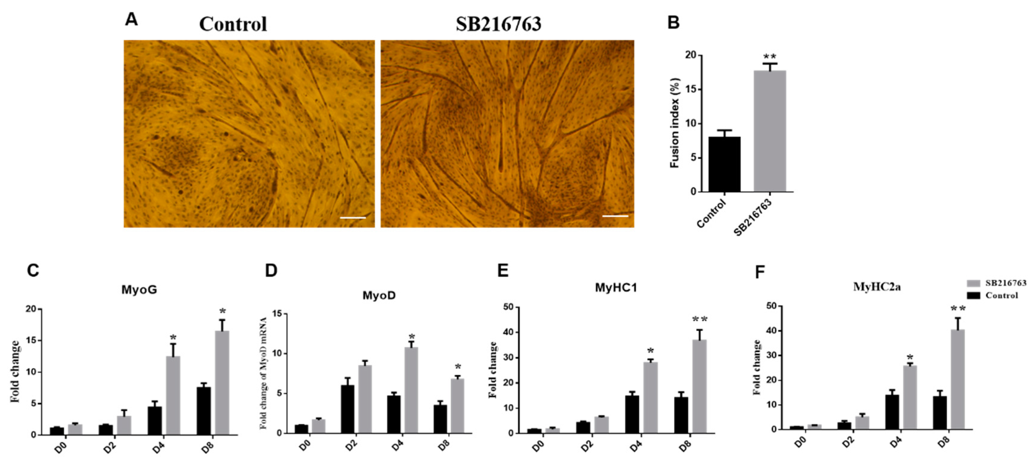 Animals 12 02789 g004 Animals 12 02789 g004