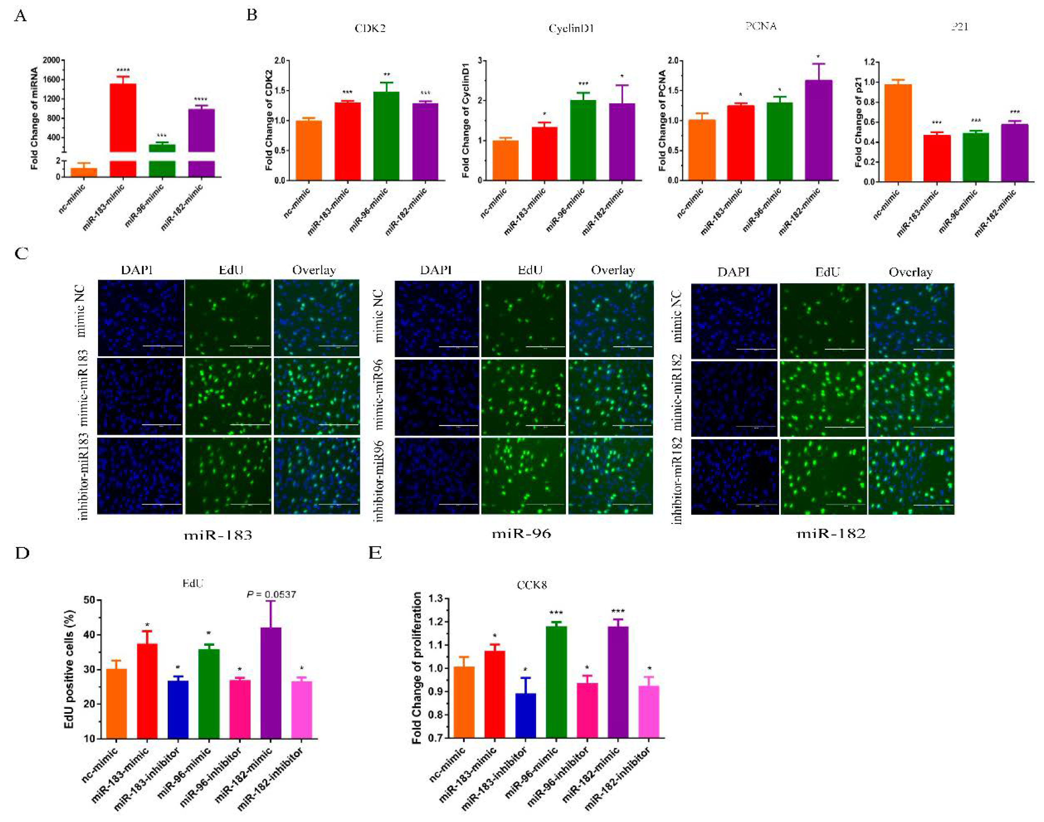Animals 12 02799 g002