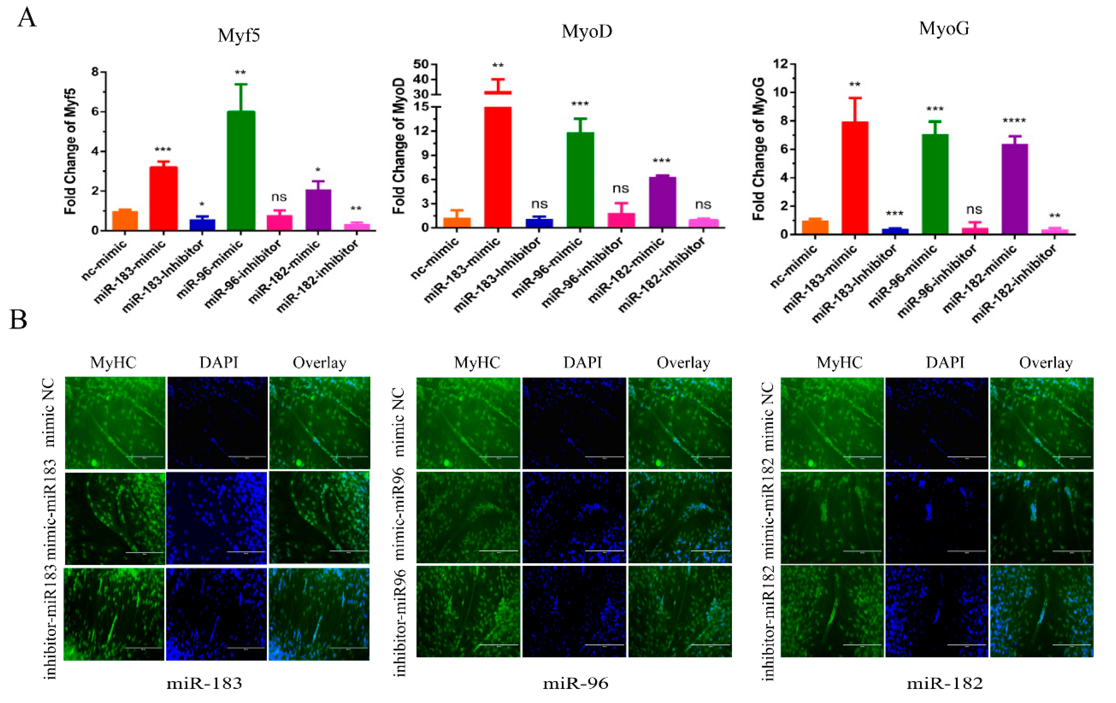 Animals 12 02799 g003