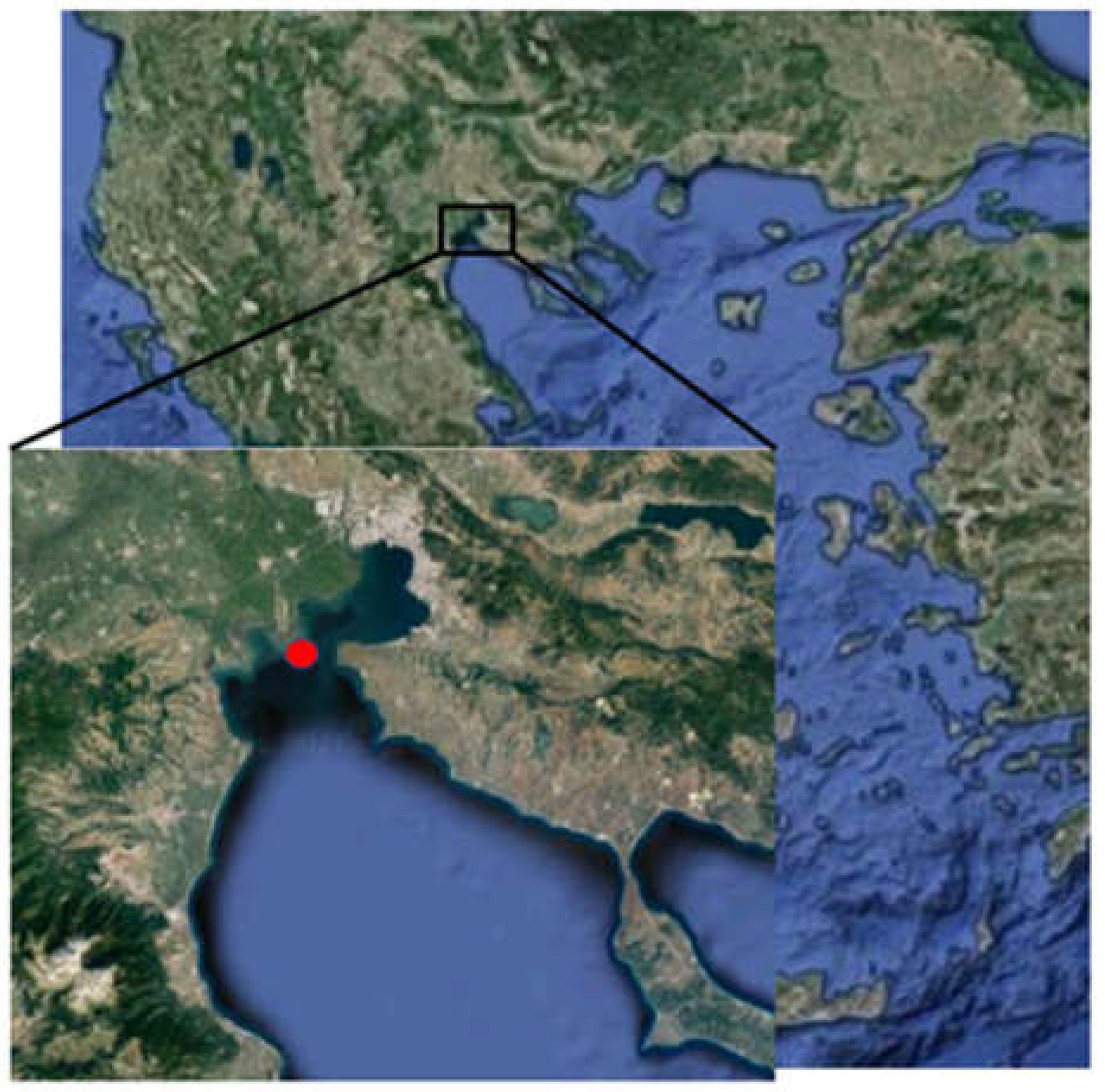 Animals 12 02805 g002