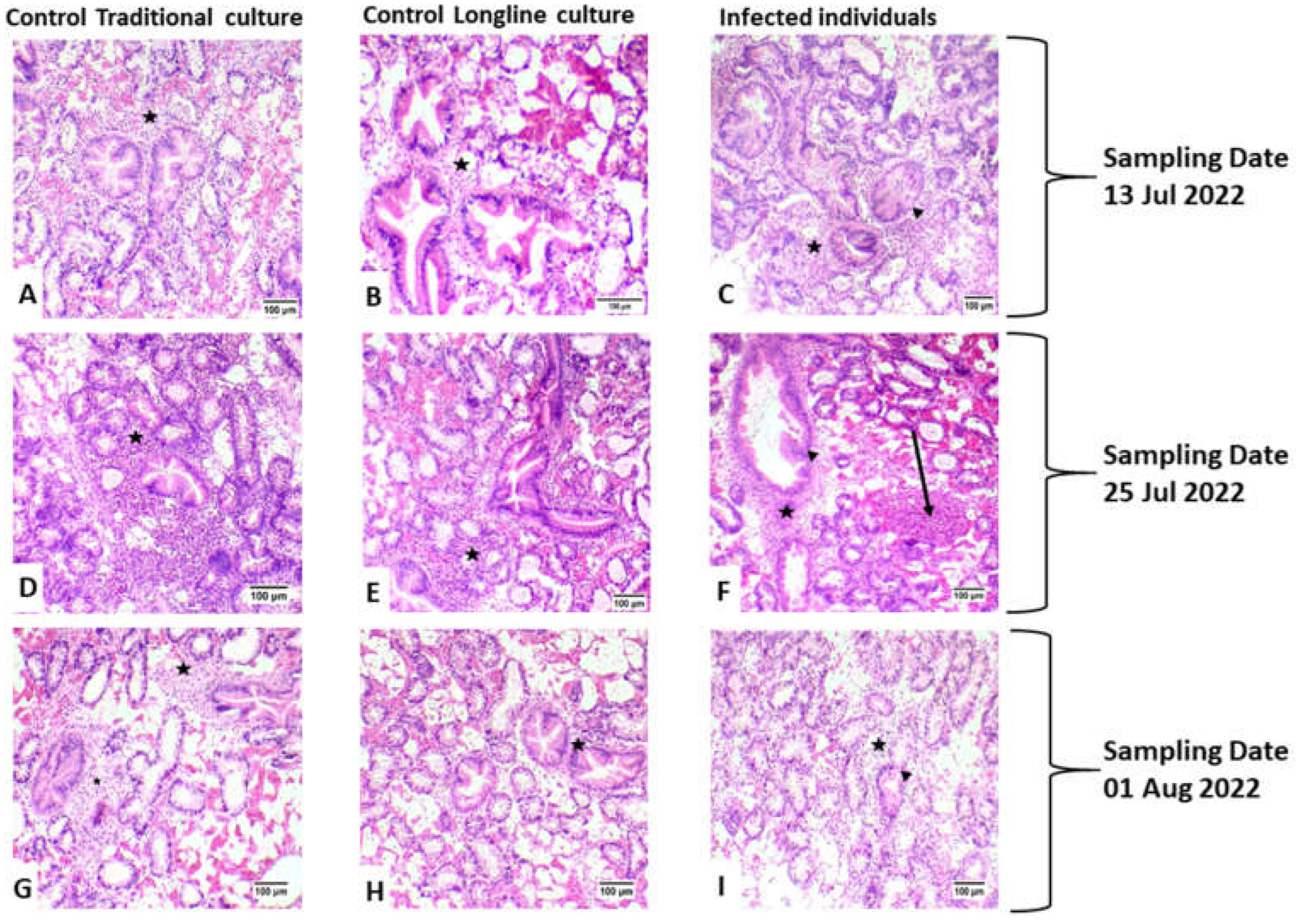 Animals 12 02805 g003