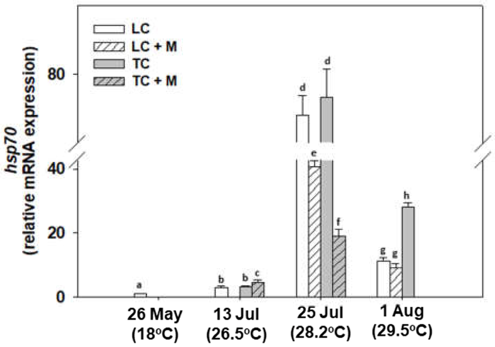Animals 12 02805 g006
