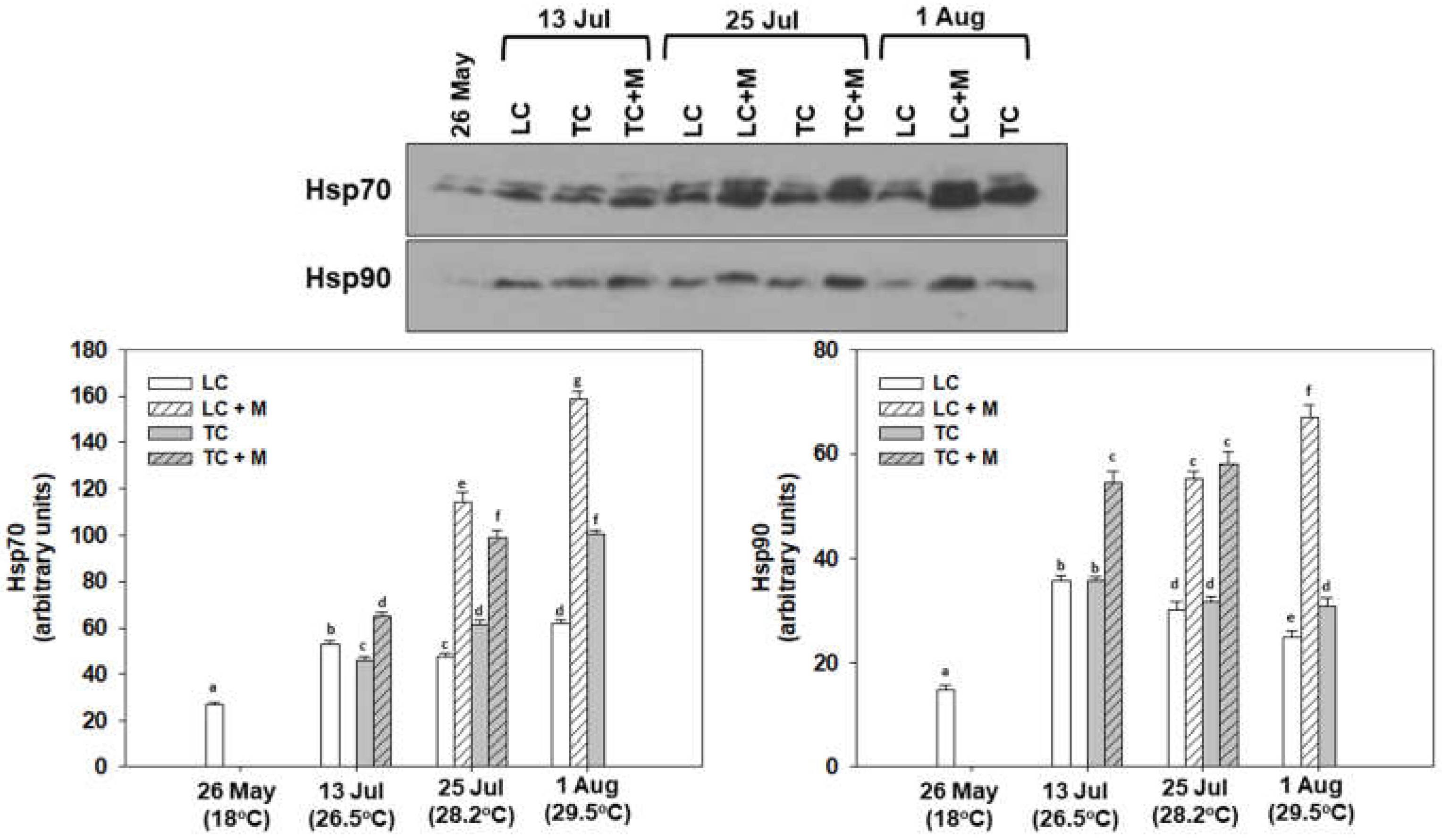 Animals 12 02805 g007