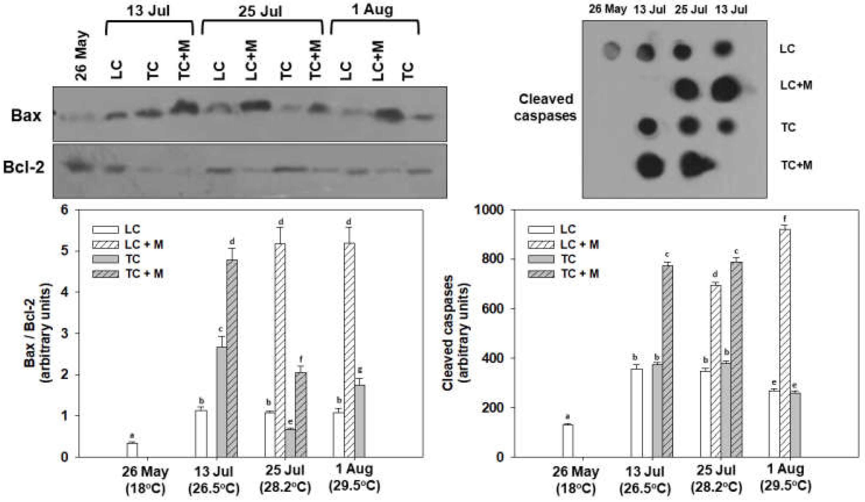 Animals 12 02805 g009
