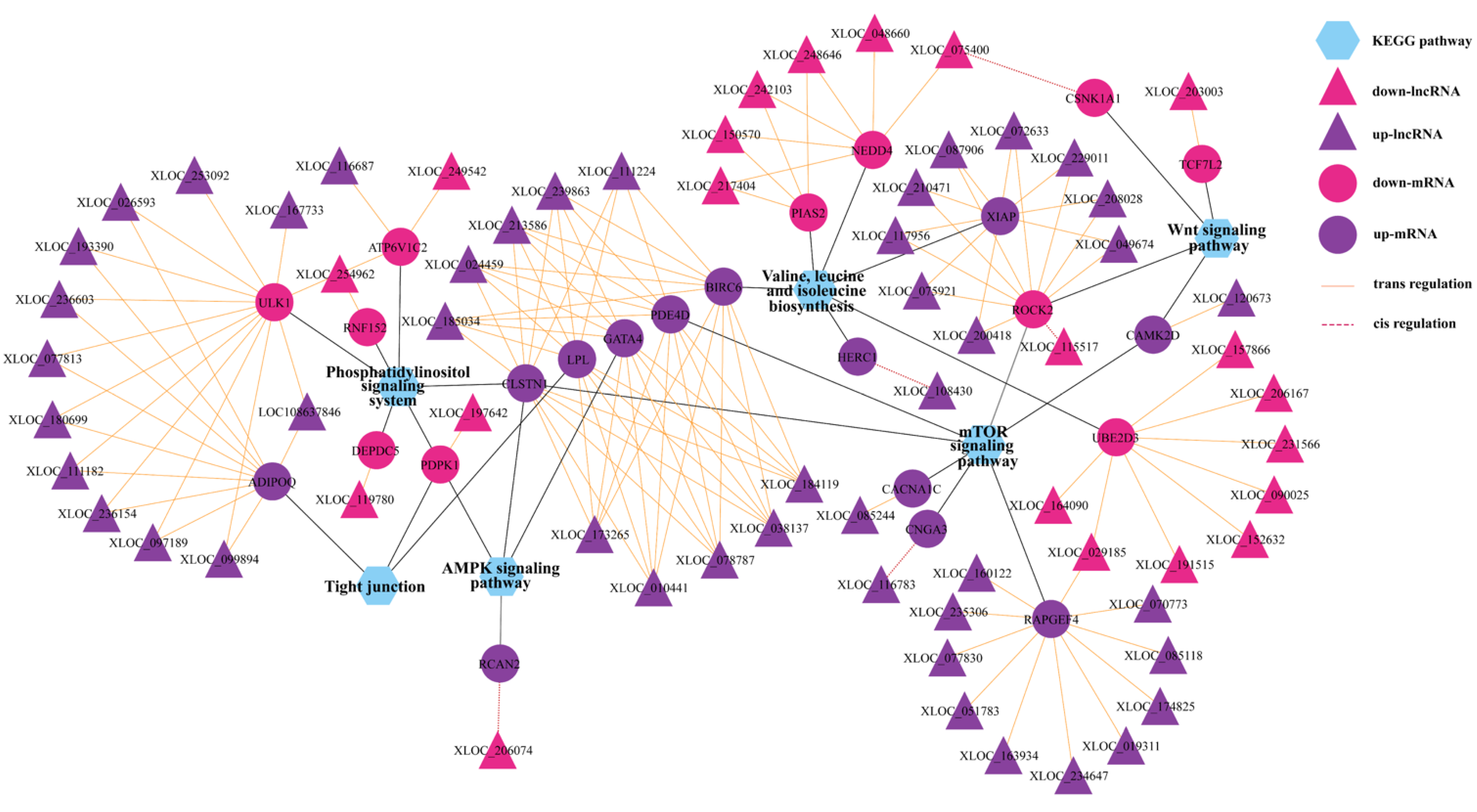 Animals 12 02823 g006 Animals 12 02823 g006