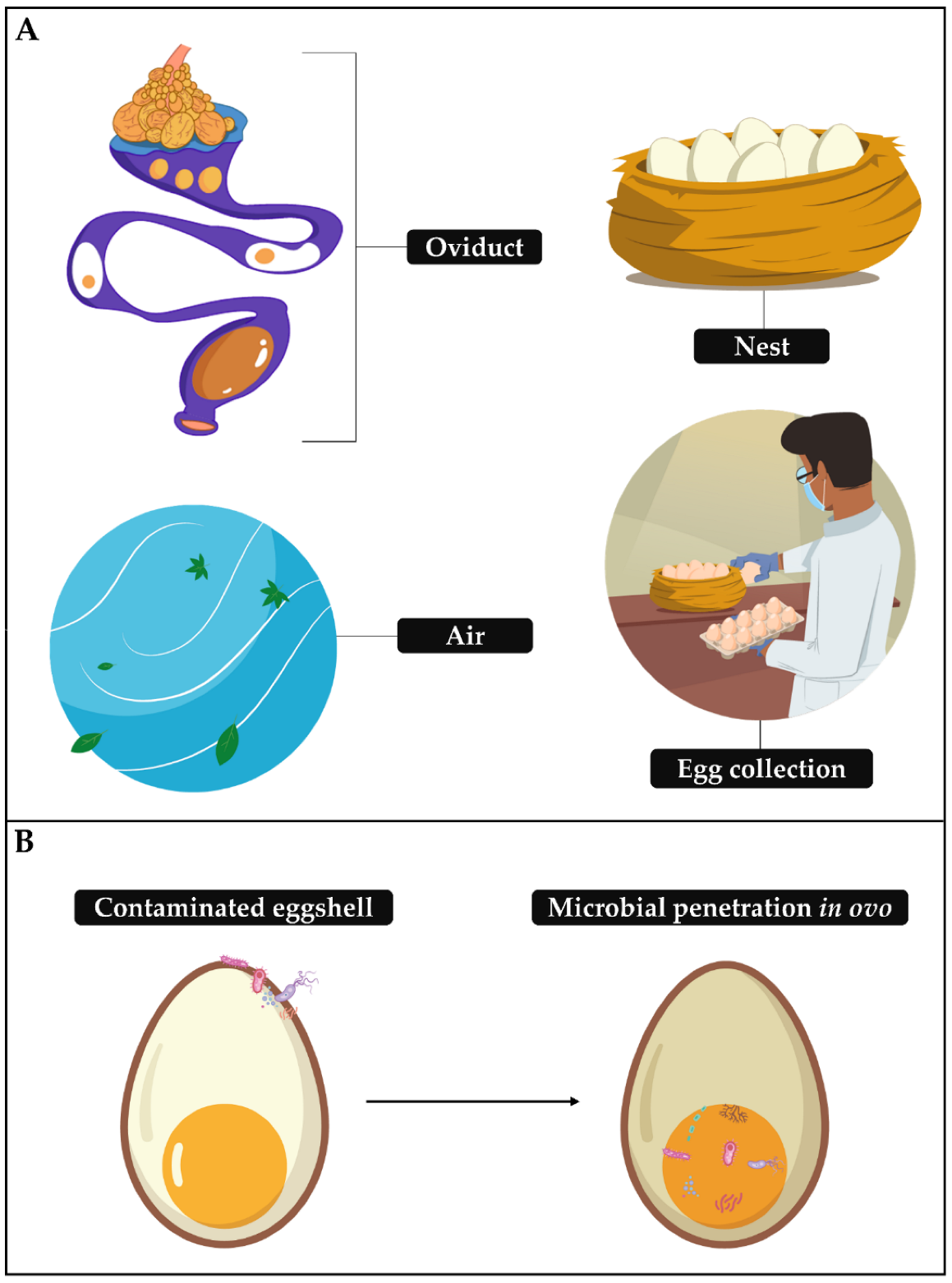 Animals 12 02826 g001