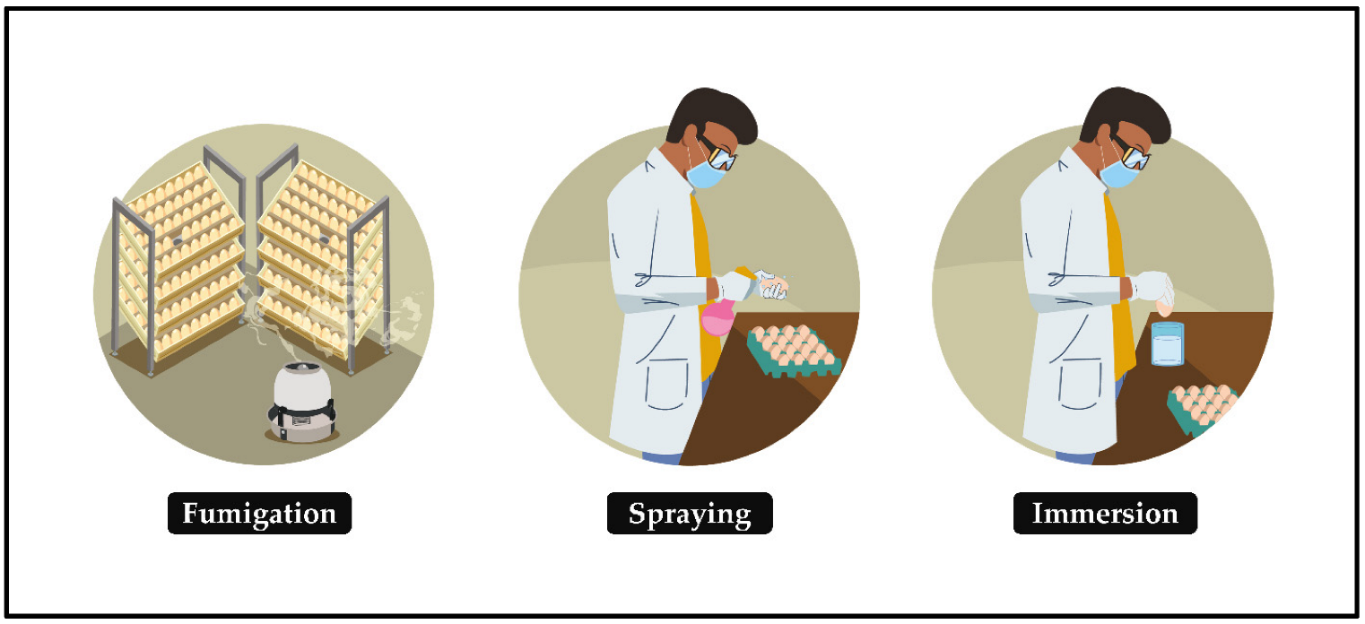 Animals 12 02826 g003