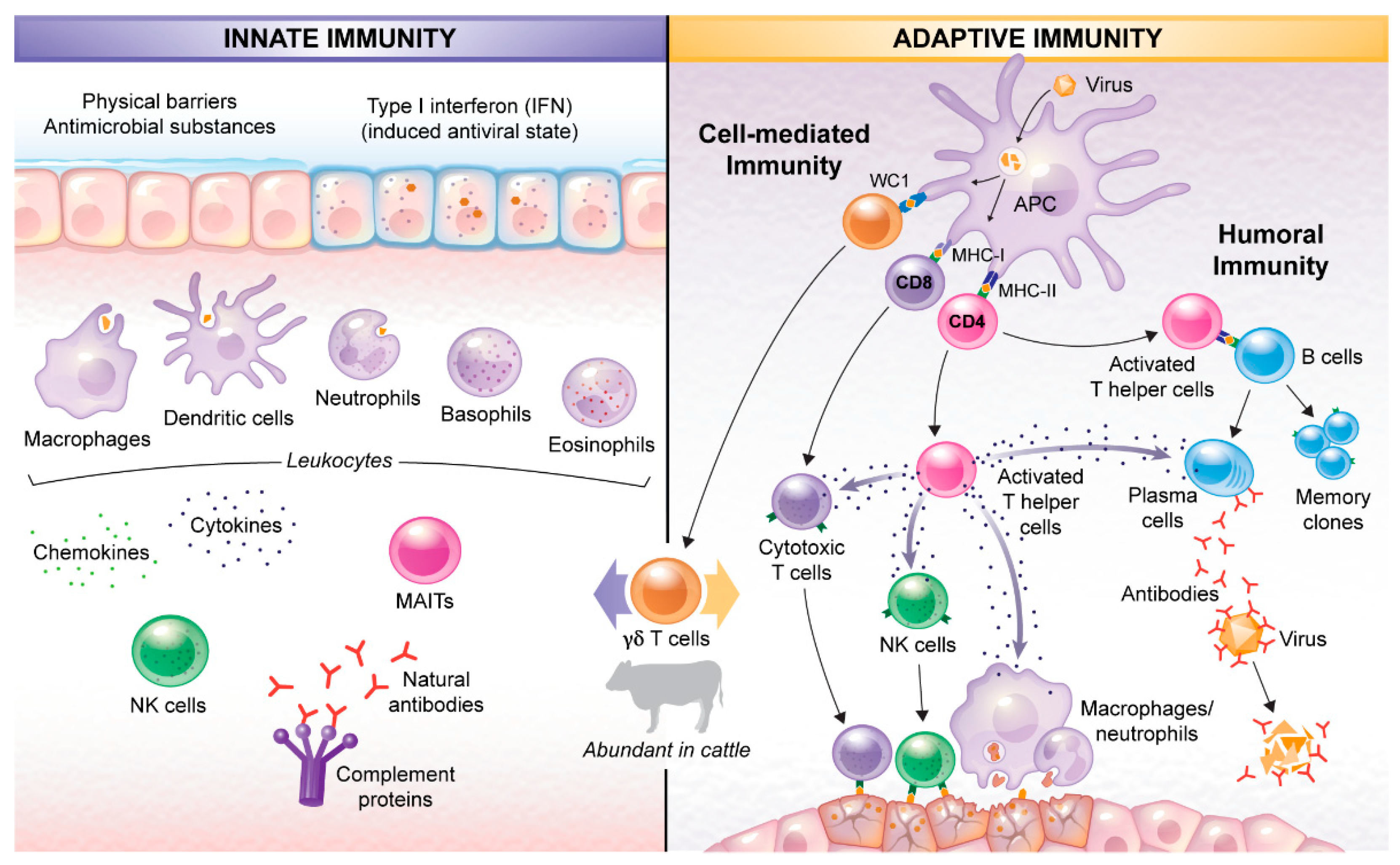 Animals 12 02839 g001