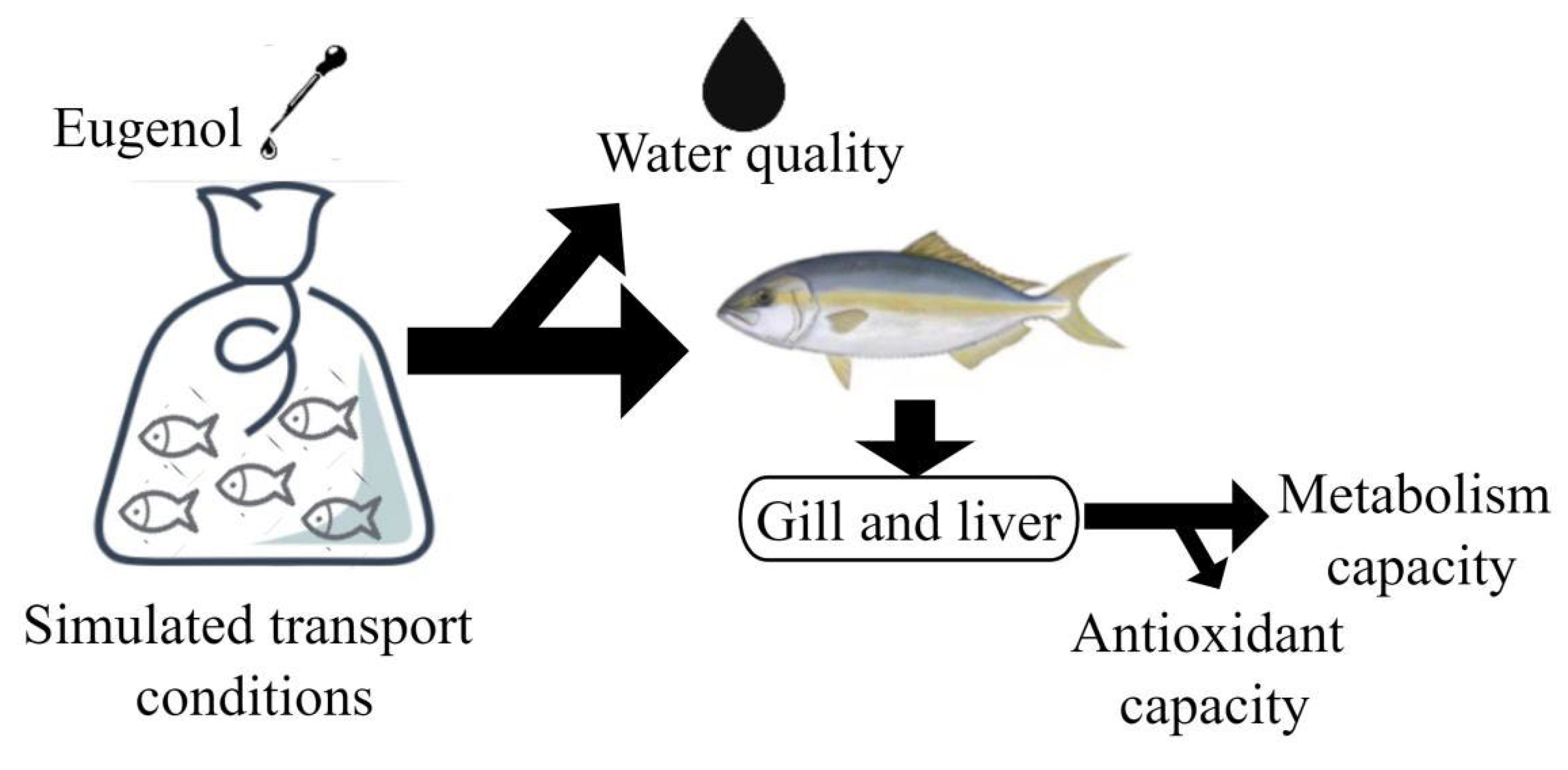 Animals 12 02880 g001