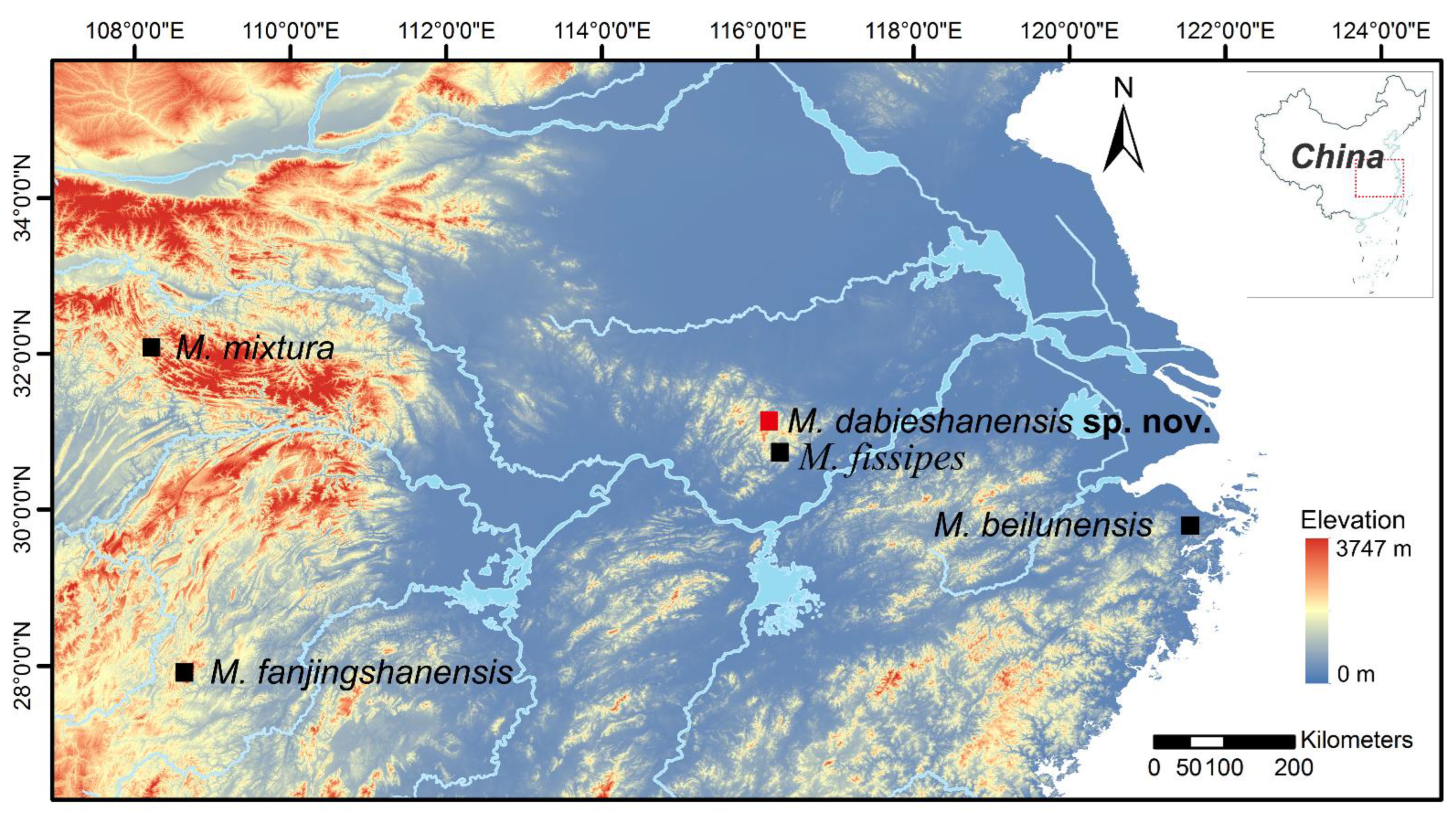 Animals 12 02894 g001 Animals 12 02894 g001