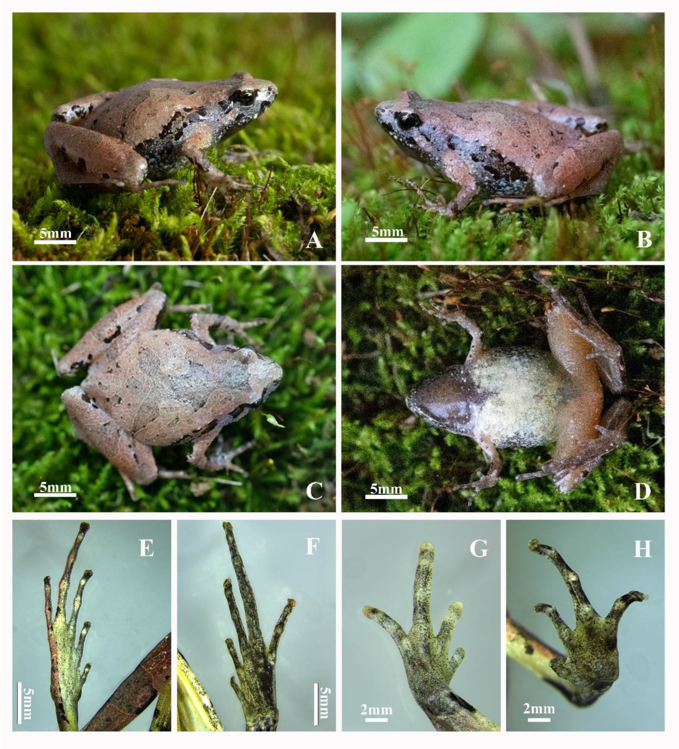 Animals 12 02894 g005 Animals 12 02894 g005