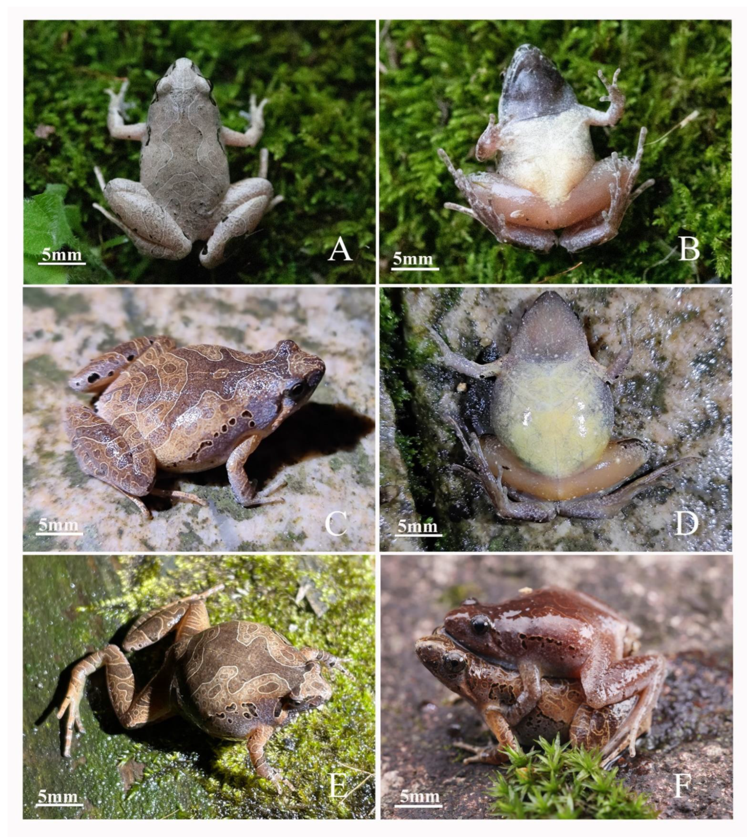 Animals 12 02894 g006 Animals 12 02894 g006