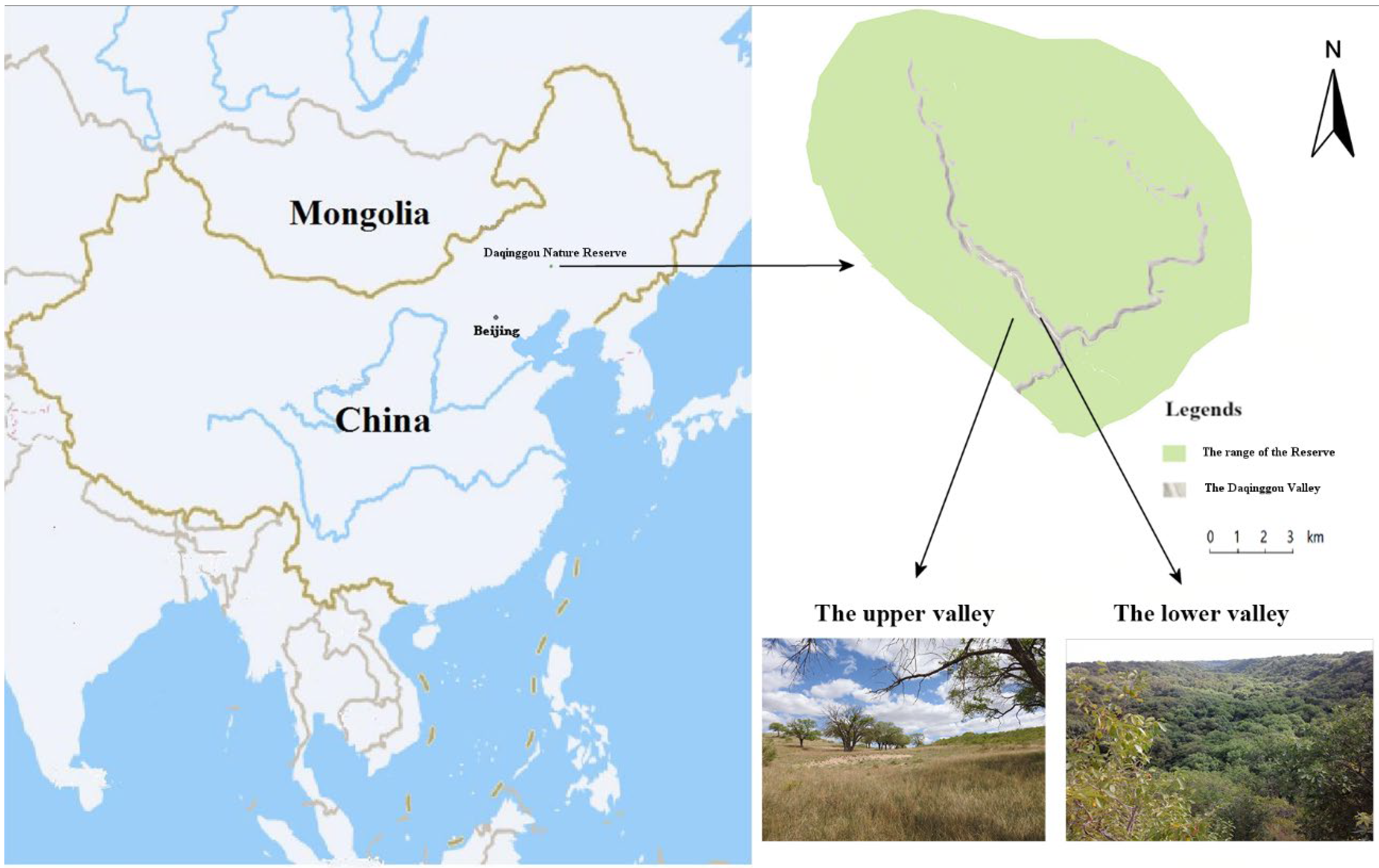 Animals 12 02896 g001