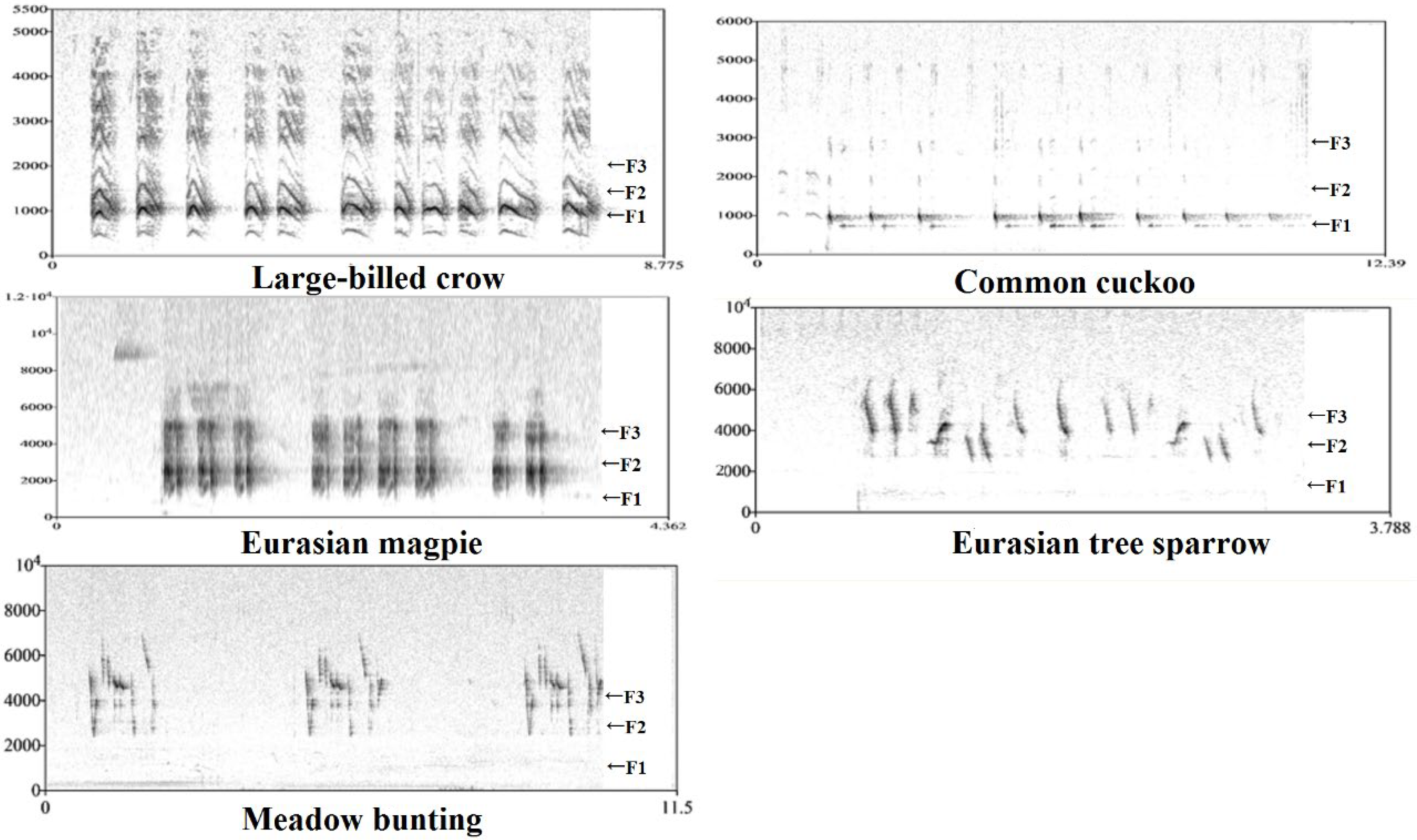 Animals 12 02896 g002