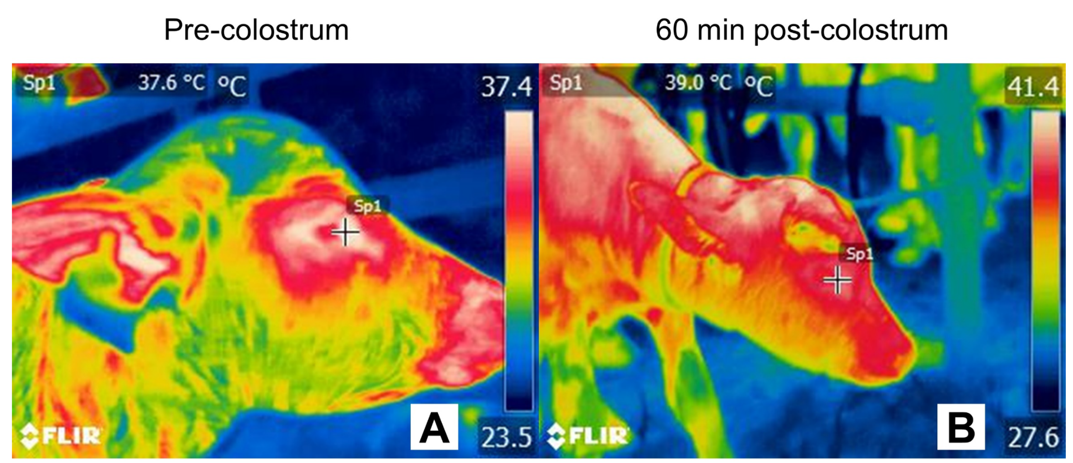 Animals 12 02899 g005