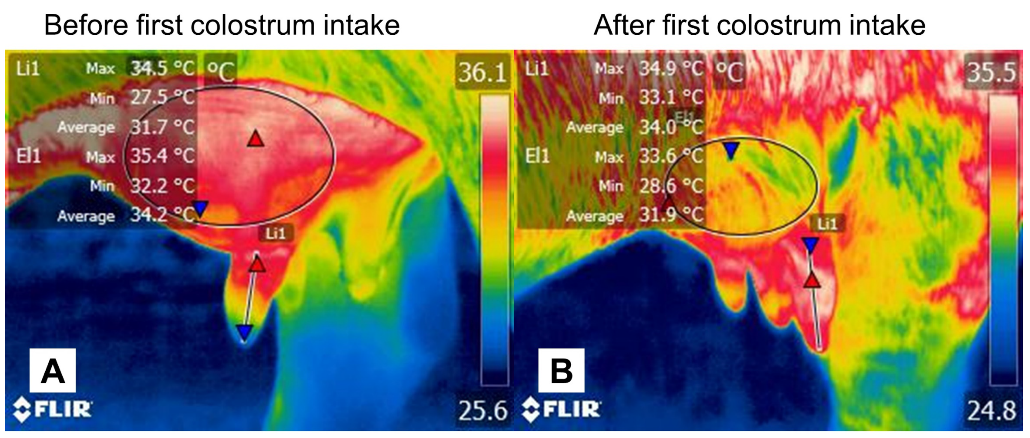 Animals 12 02899 g006