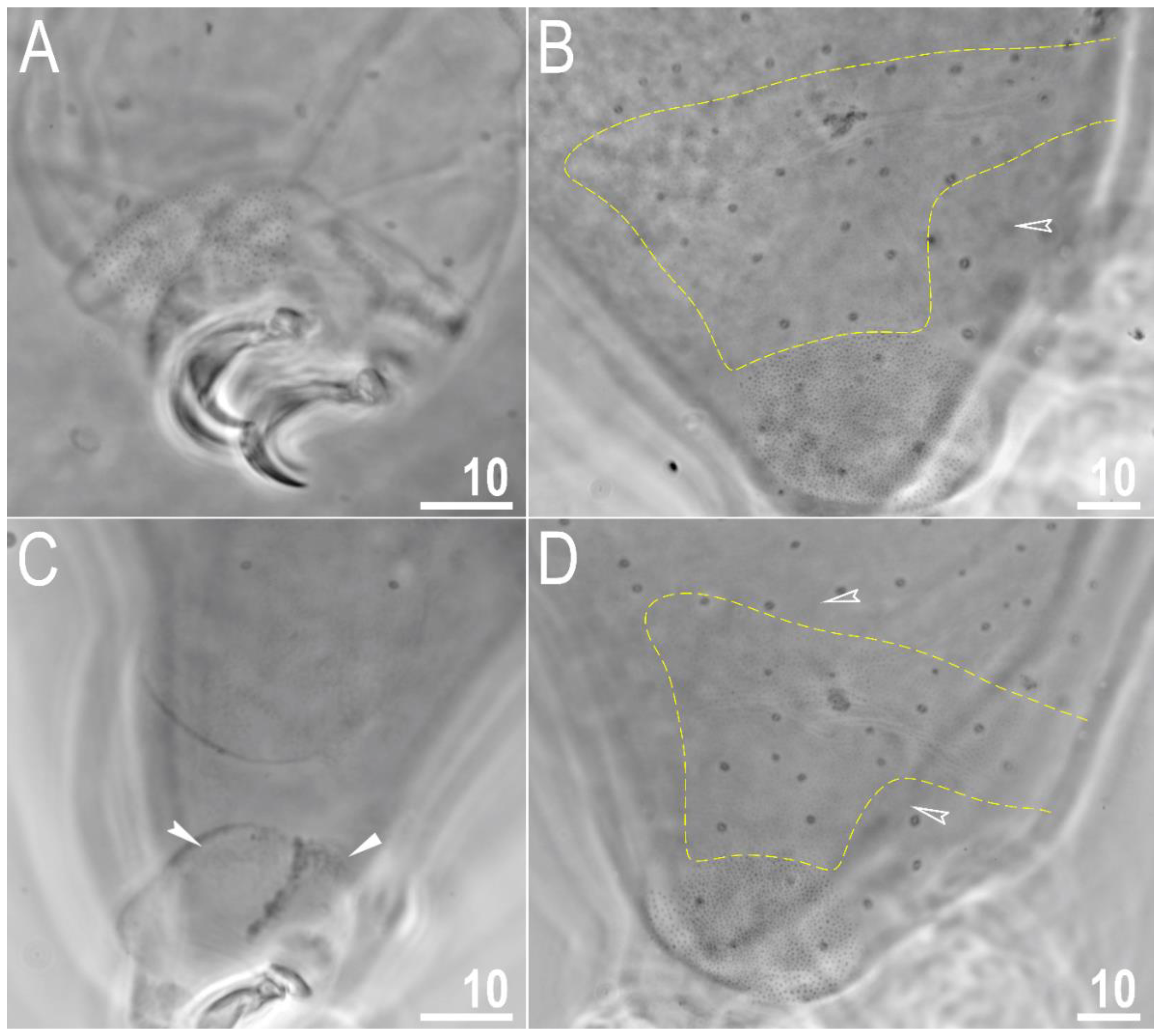 Animals 12 02906 g002