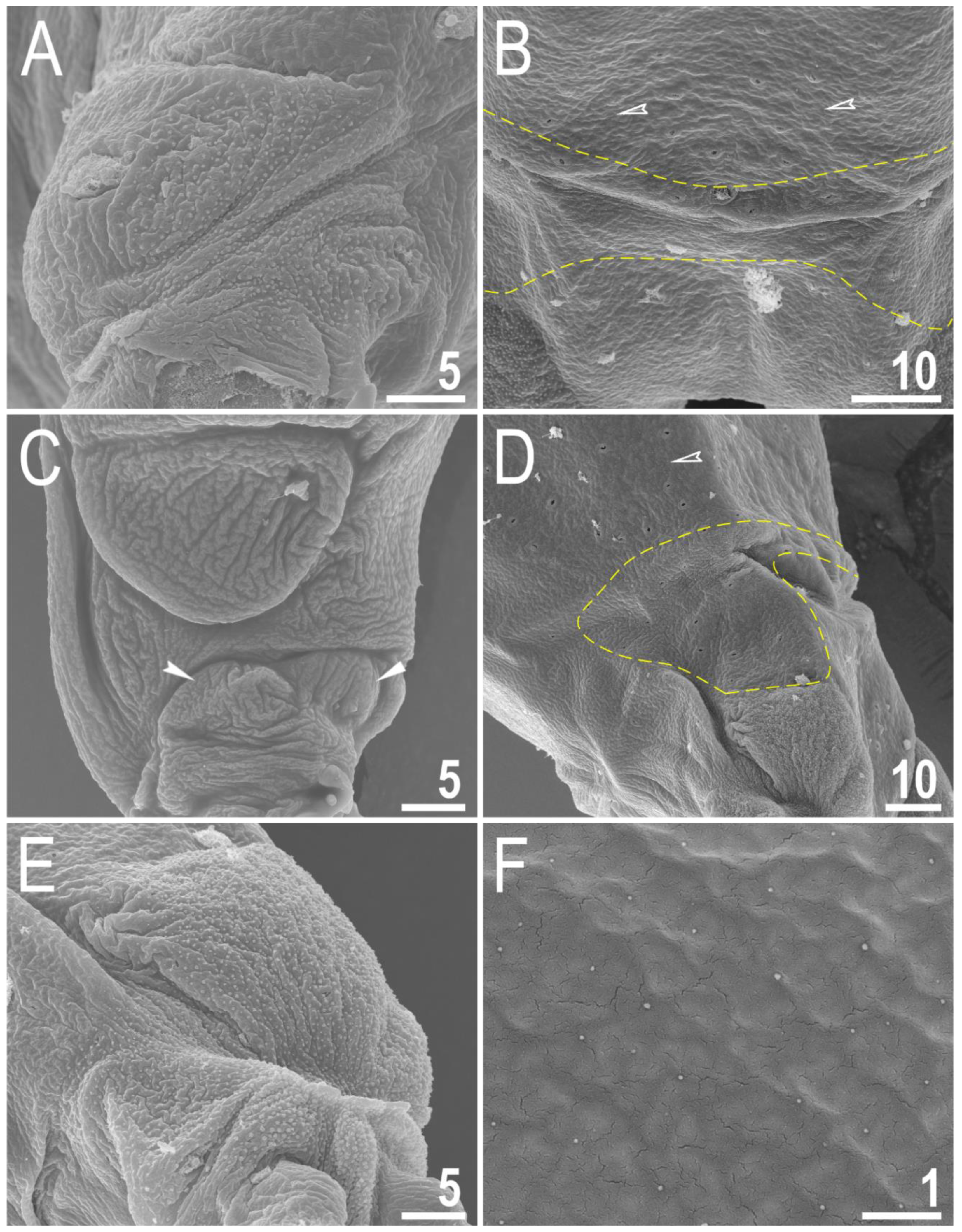 Animals 12 02906 g003