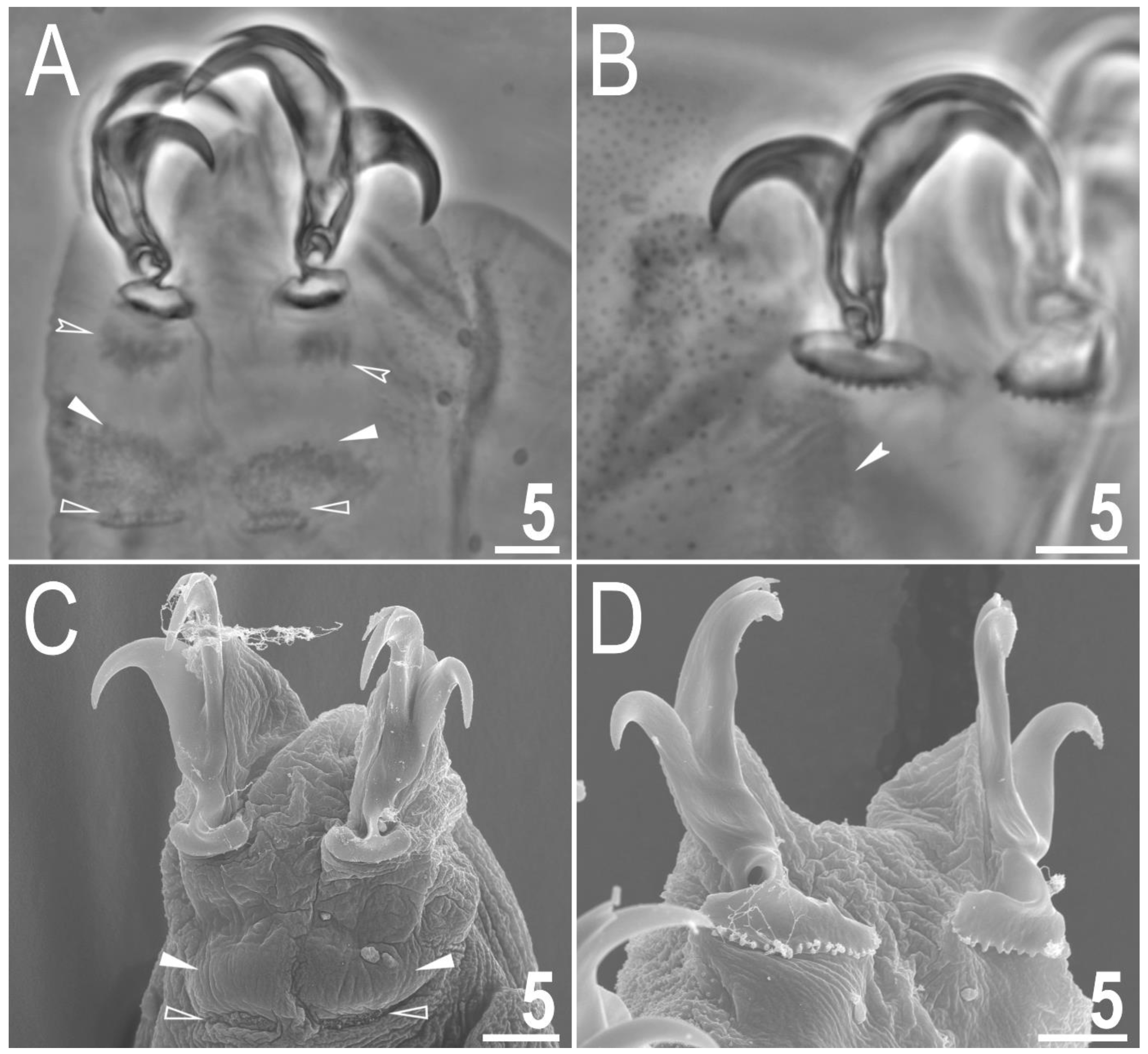 Animals 12 02906 g004