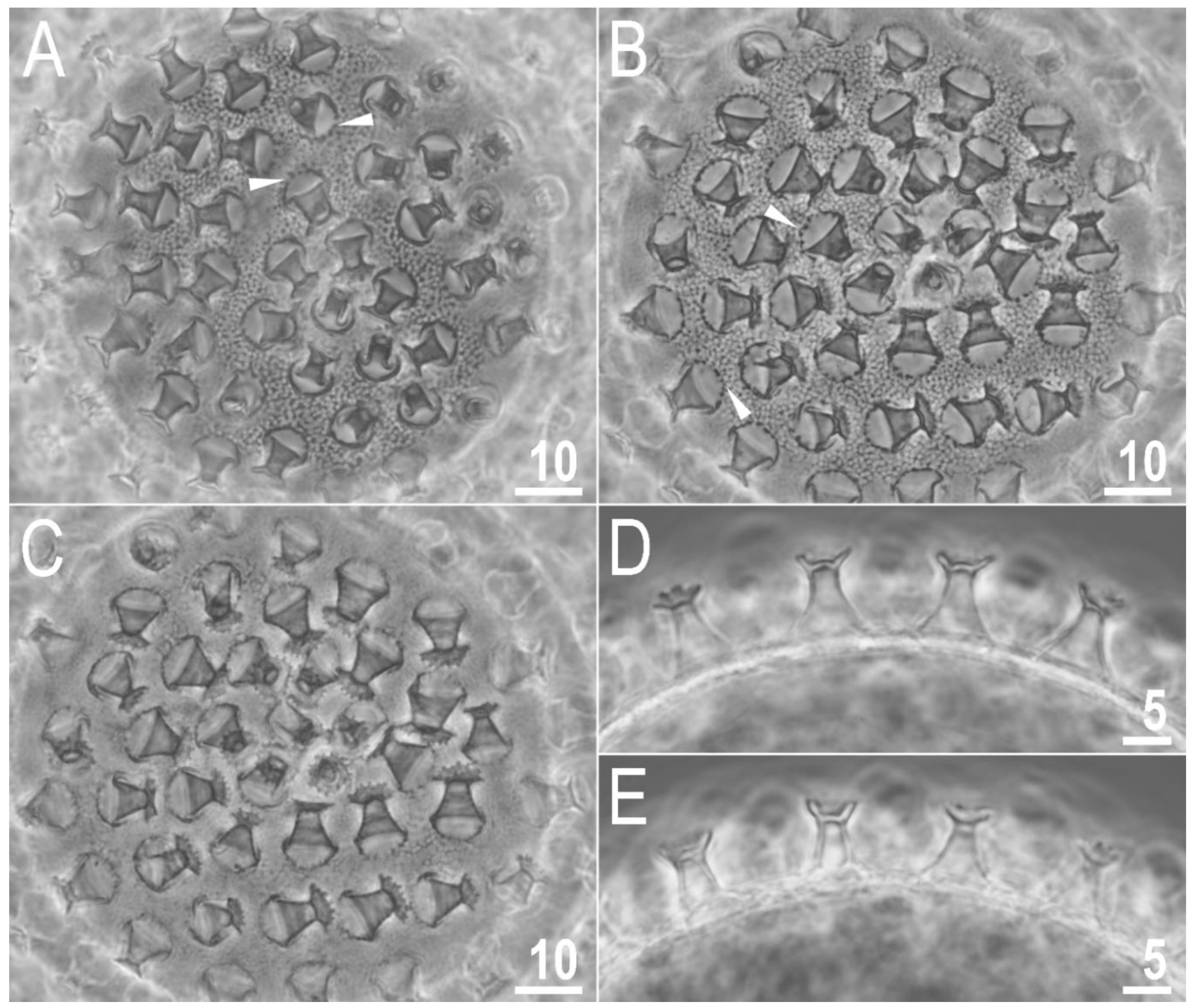 Animals 12 02906 g007