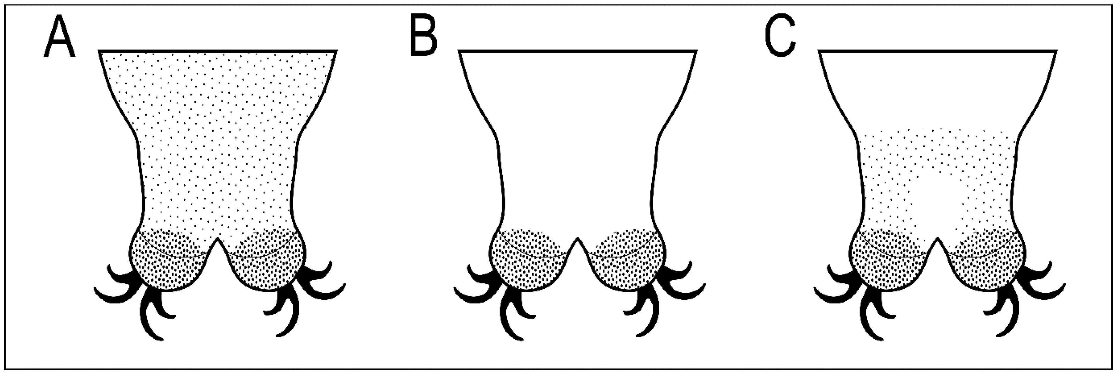 Animals 12 02906 g010