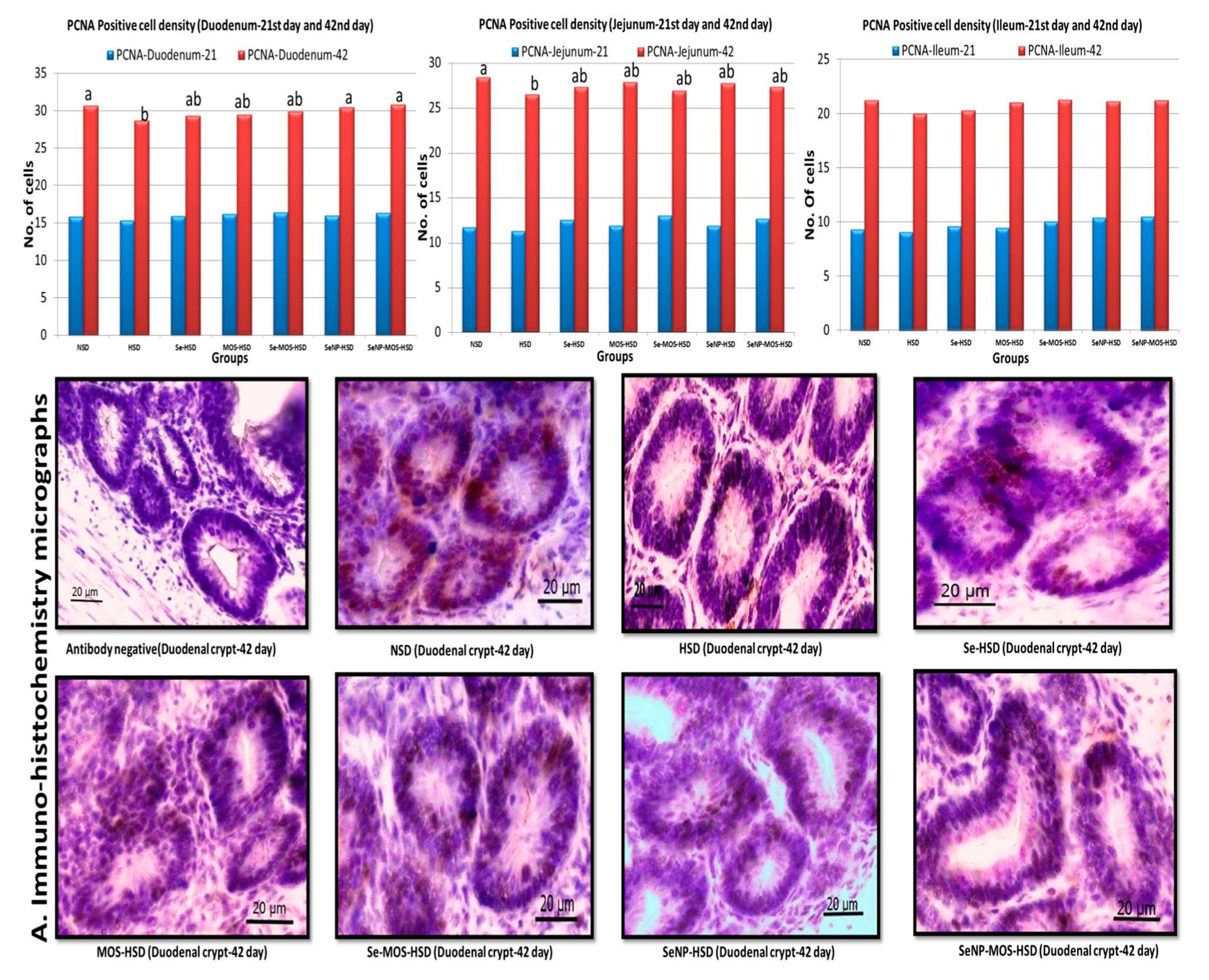 Animals 12 02910 g002
