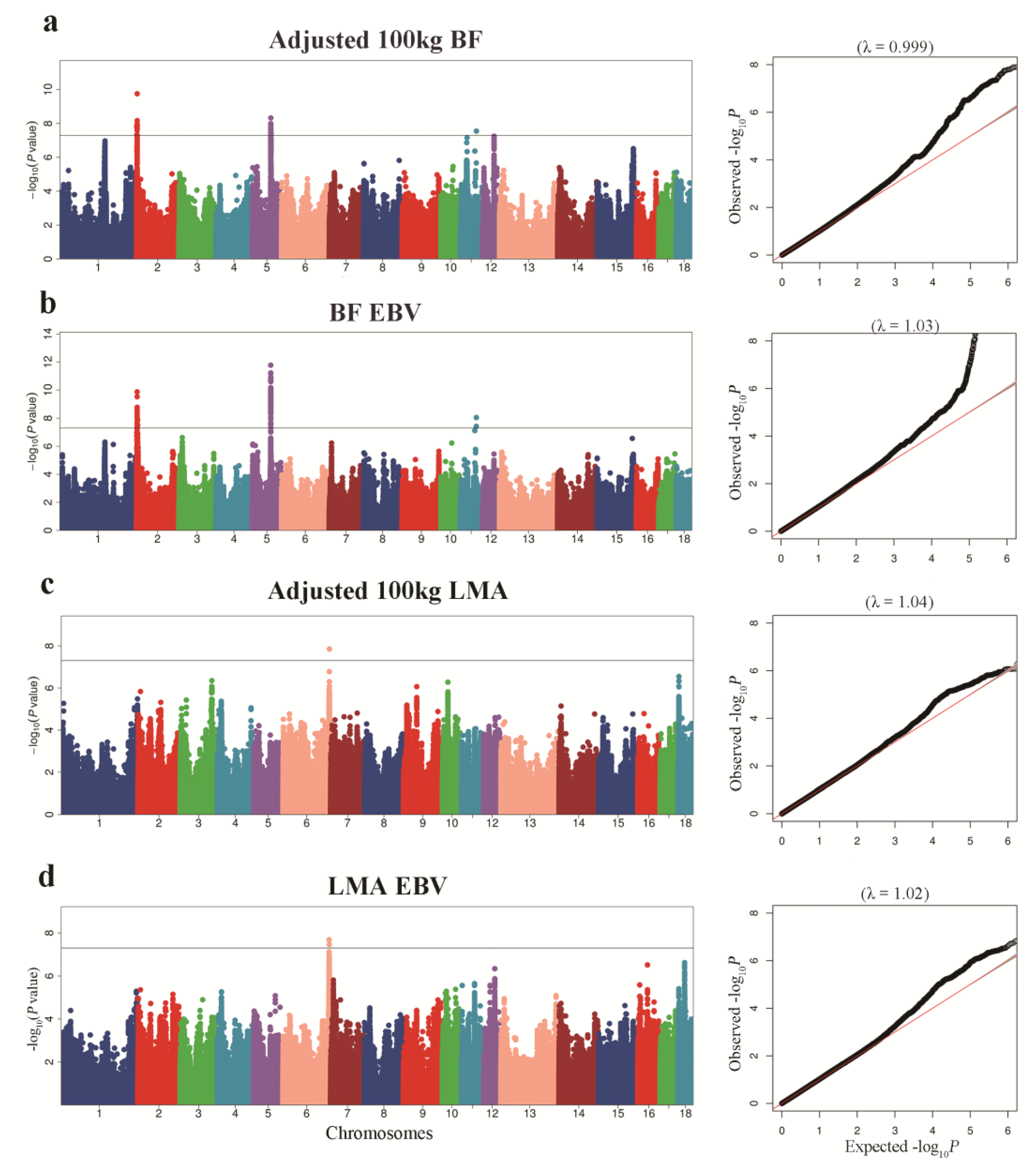 Animals 12 02911 g002