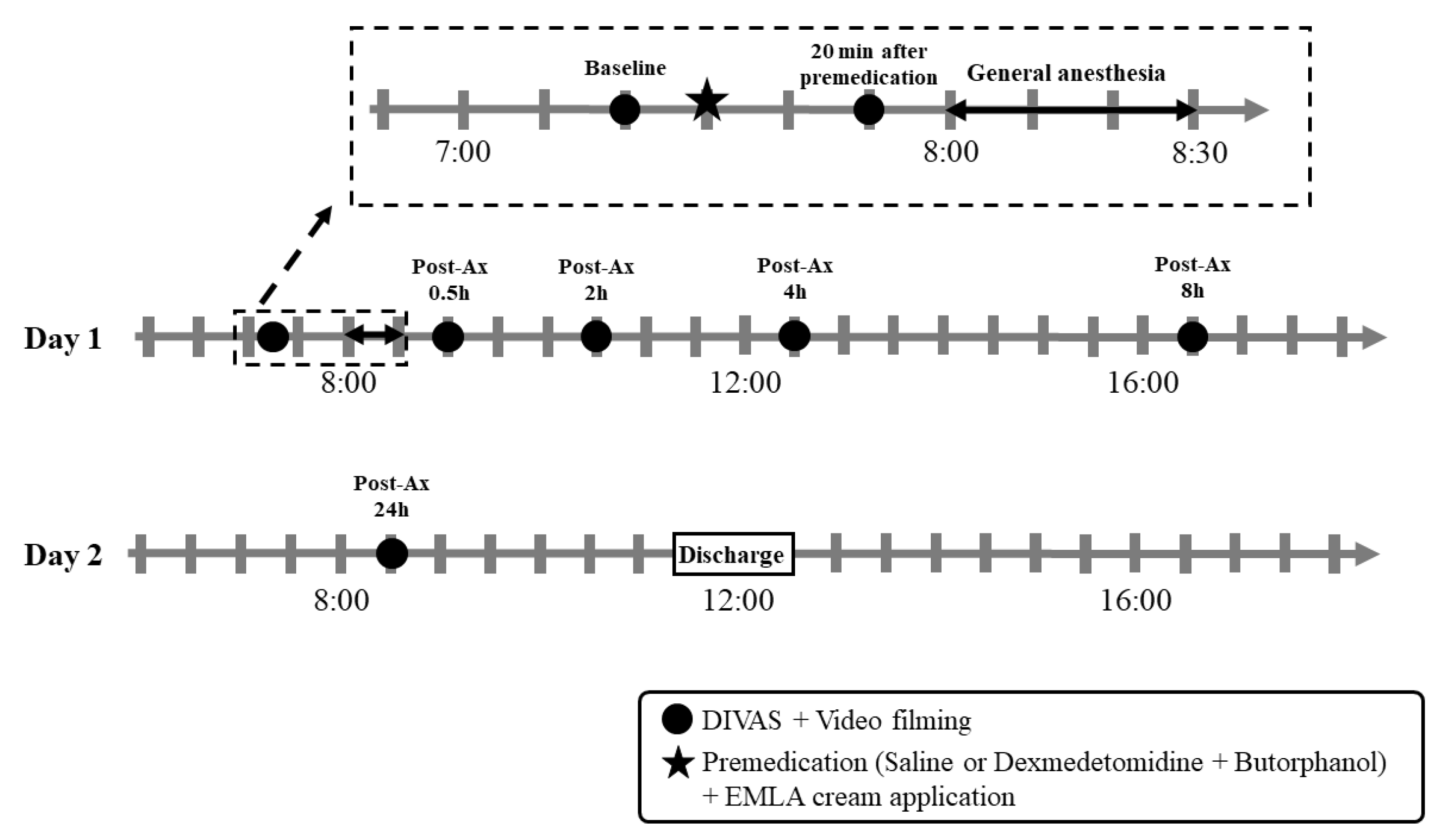 Animals 12 02914 g001