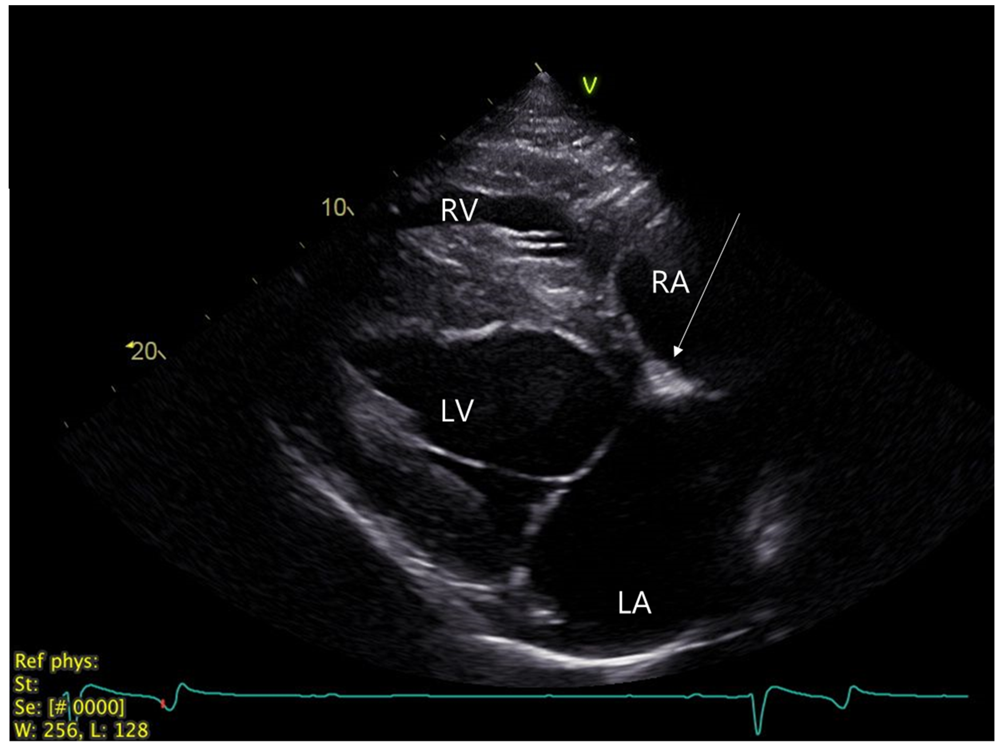 Animals 12 02915 g002