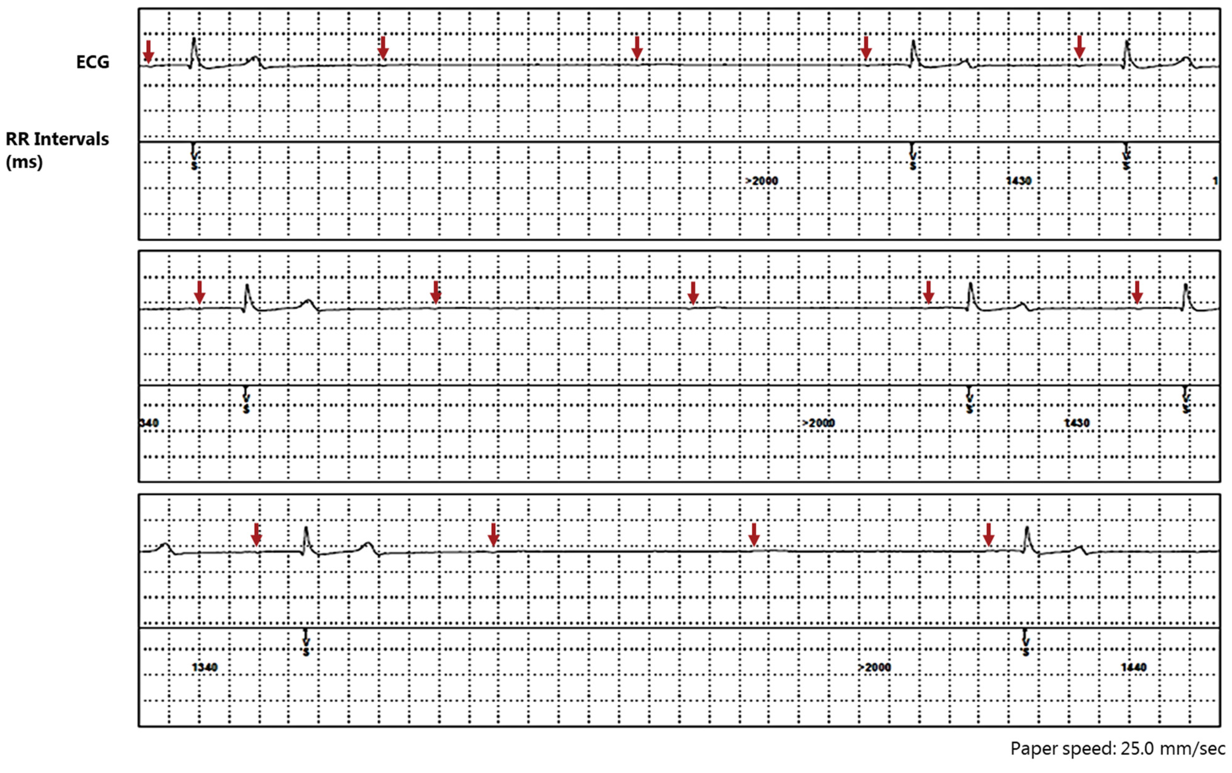 Animals 12 02915 g003