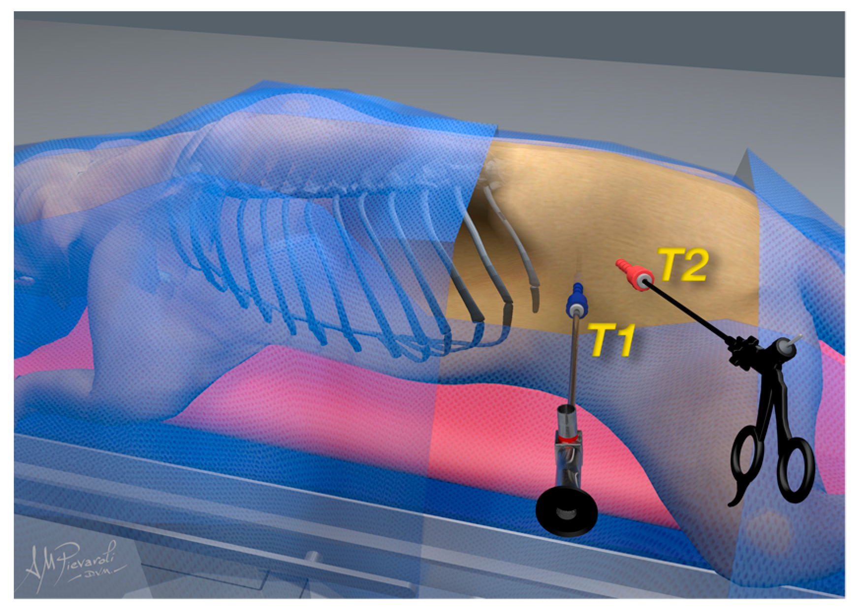 Animals 12 02917 g001 Animals 12 02917 g001