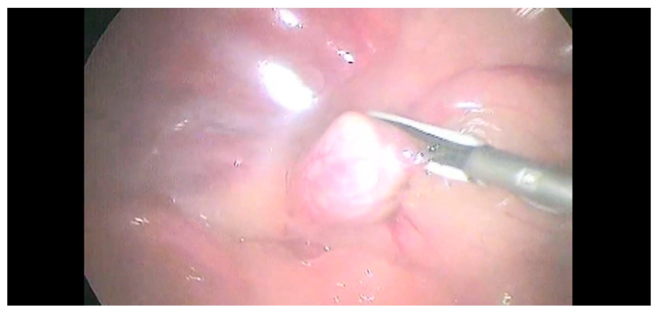 Animals 12 02917 g003 Animals 12 02917 g003