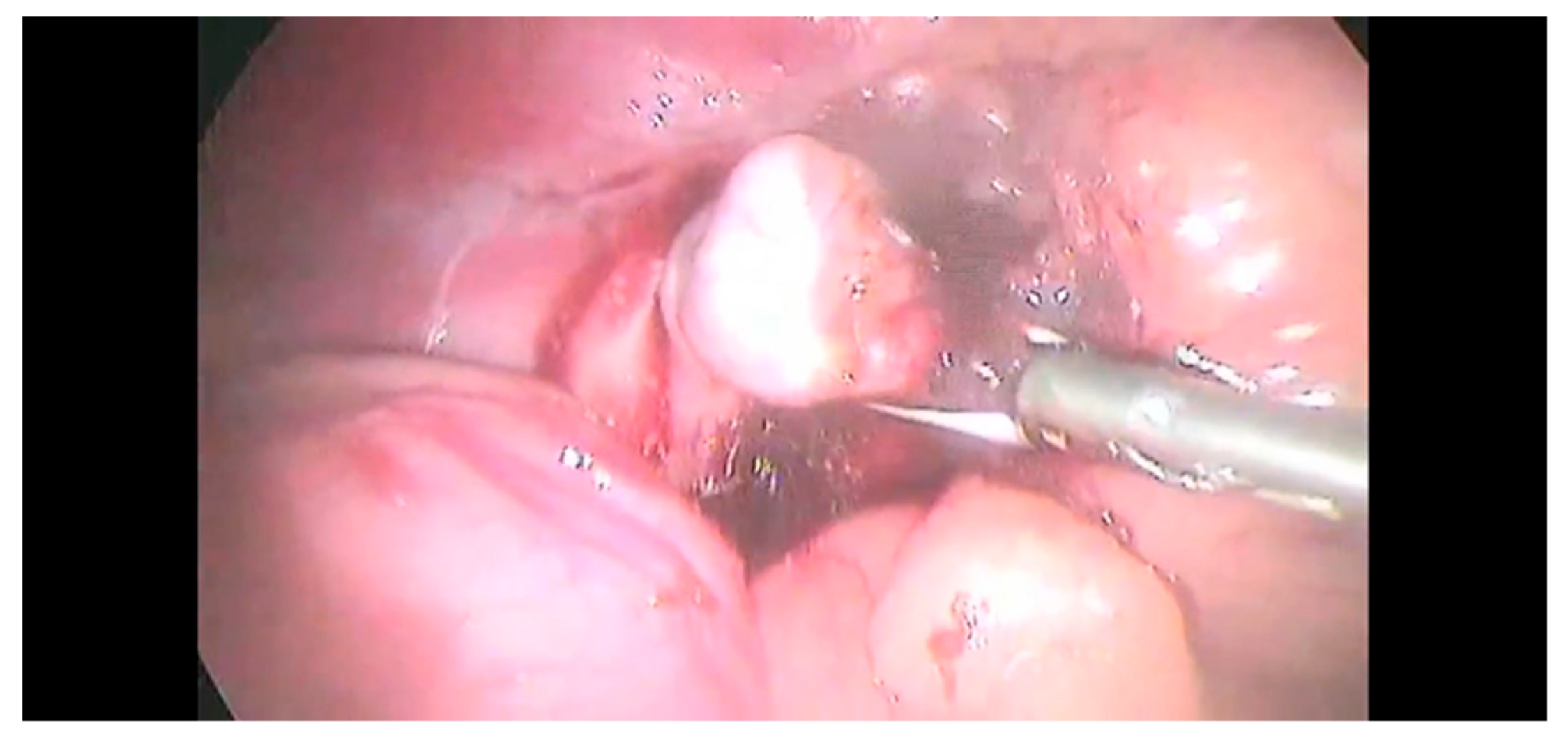 Animals 12 02917 g004 Animals 12 02917 g004