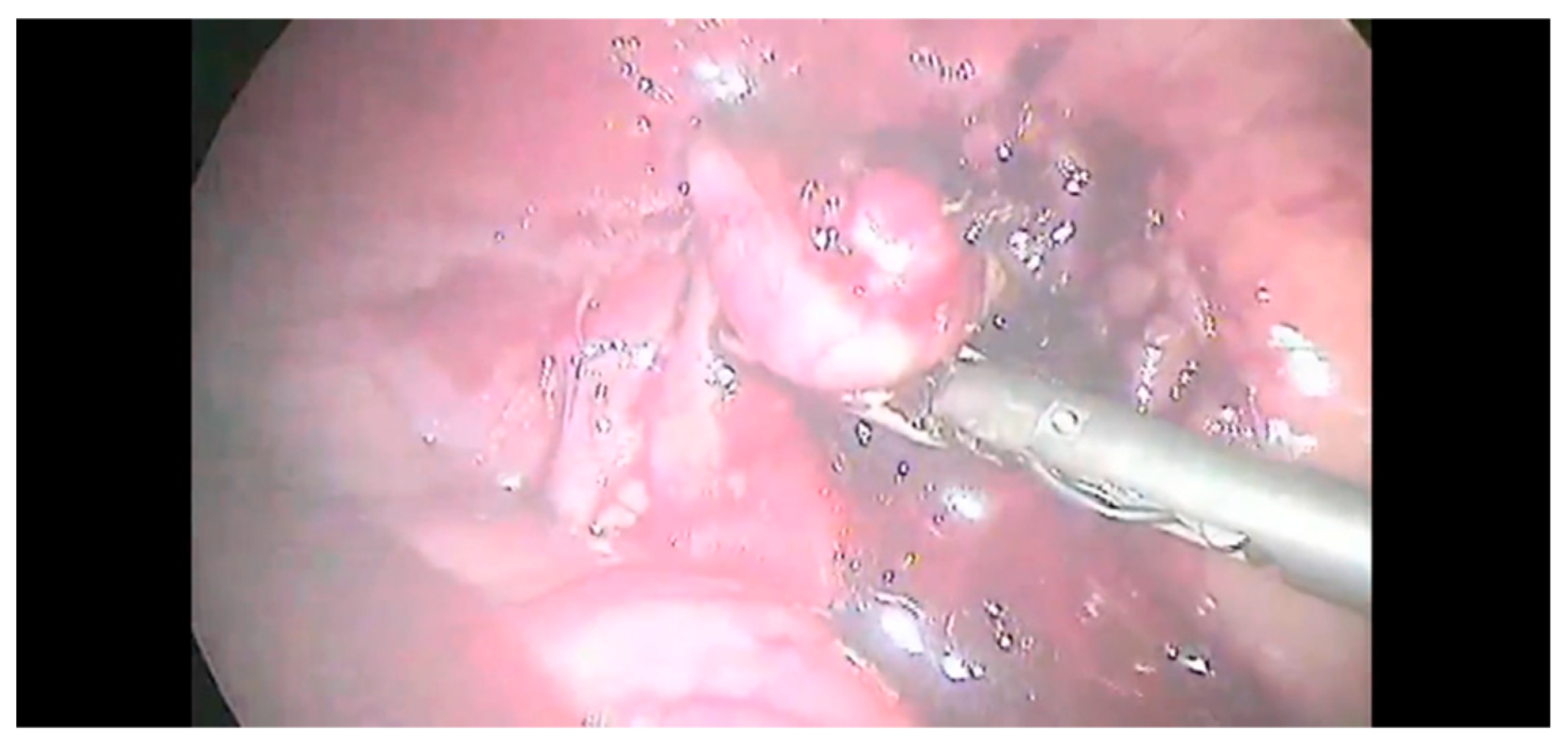 Animals 12 02917 g005 Animals 12 02917 g005