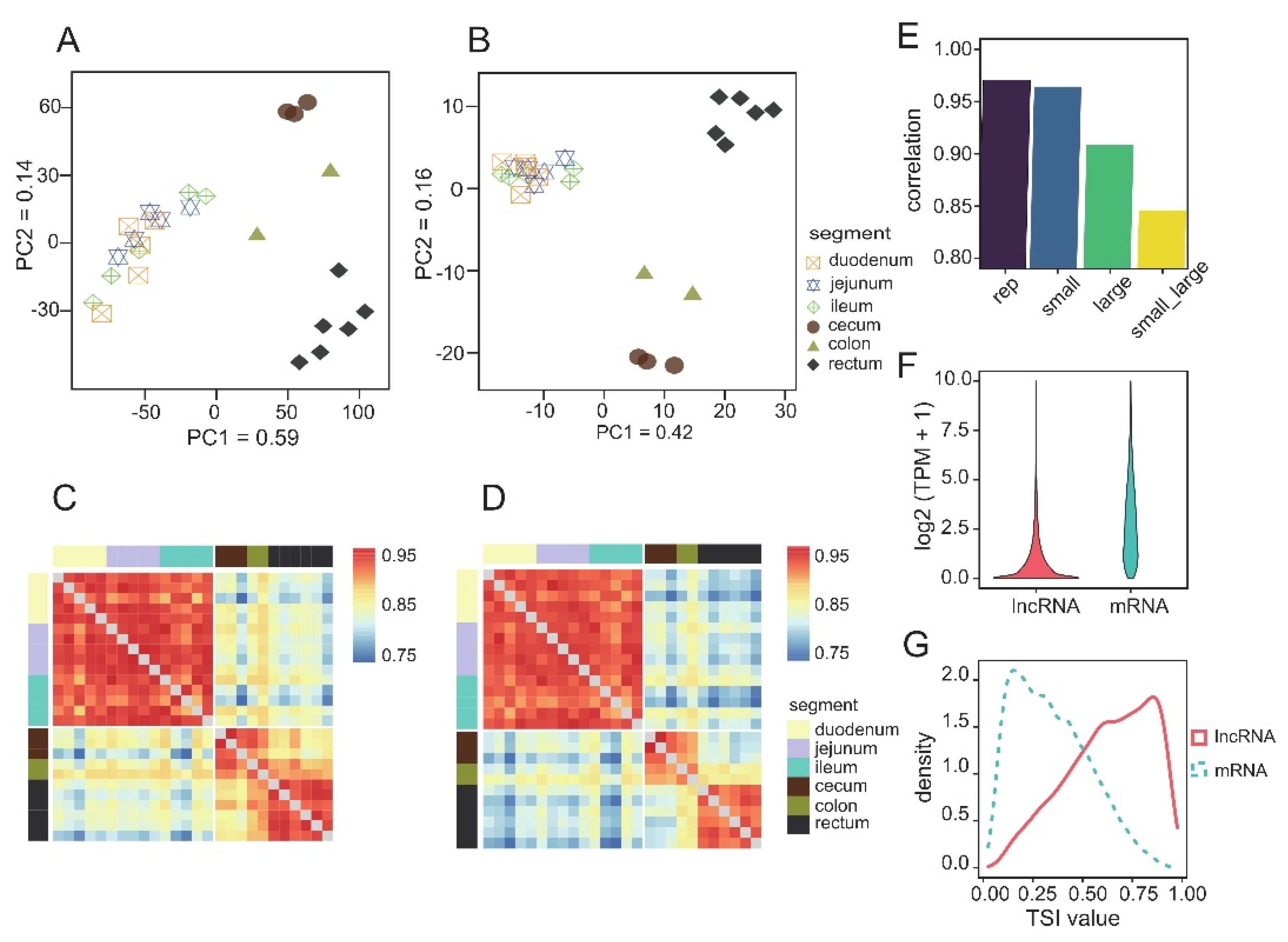 Animals 12 02925 g001