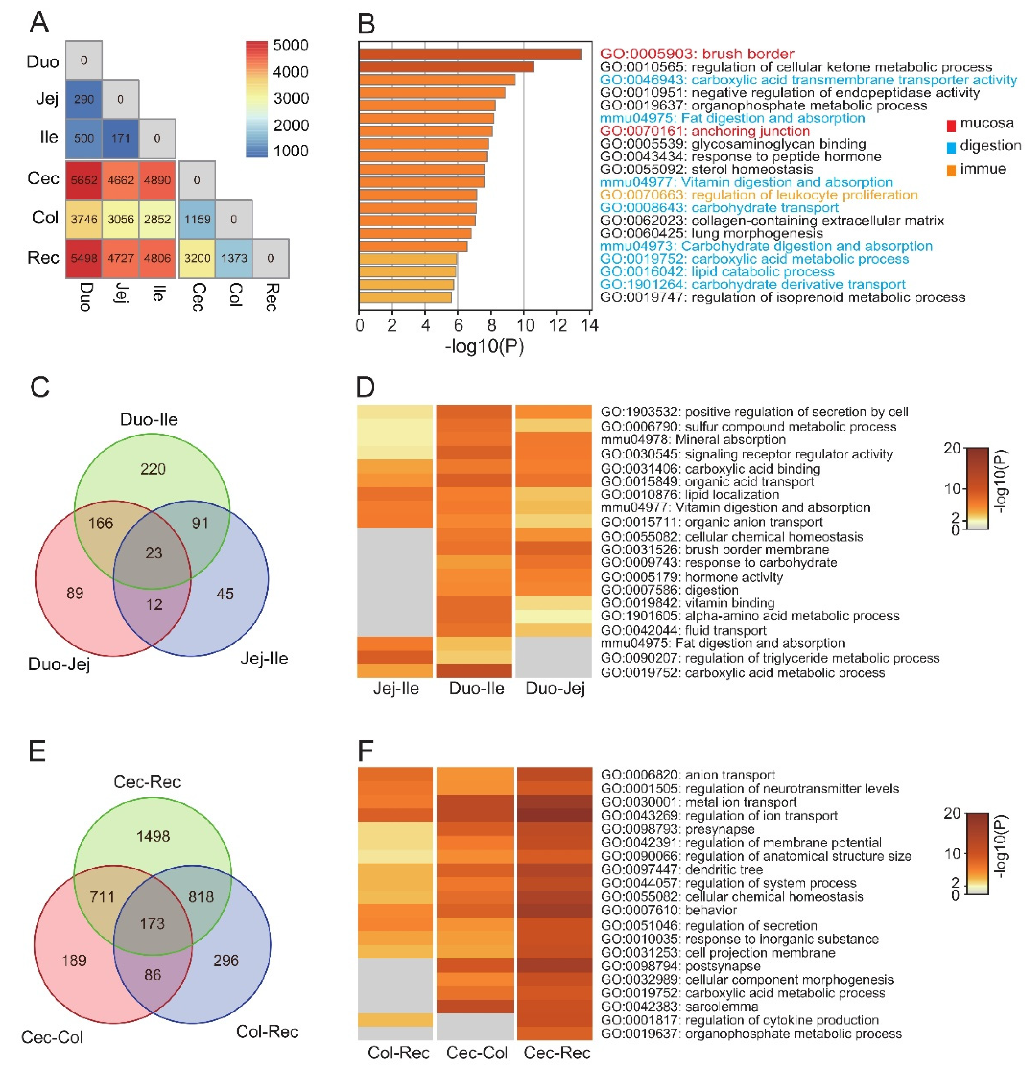 Animals 12 02925 g002