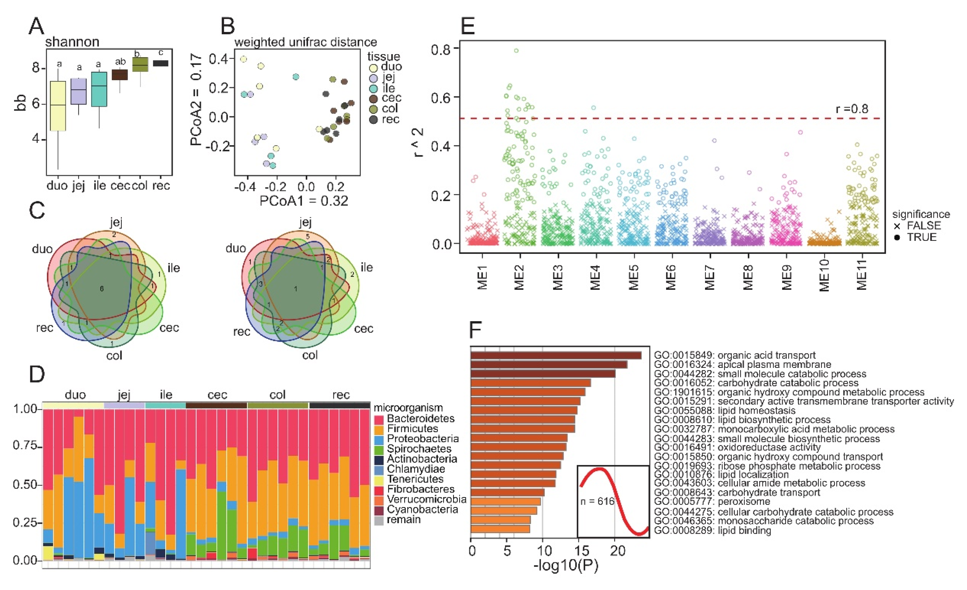 Animals 12 02925 g004