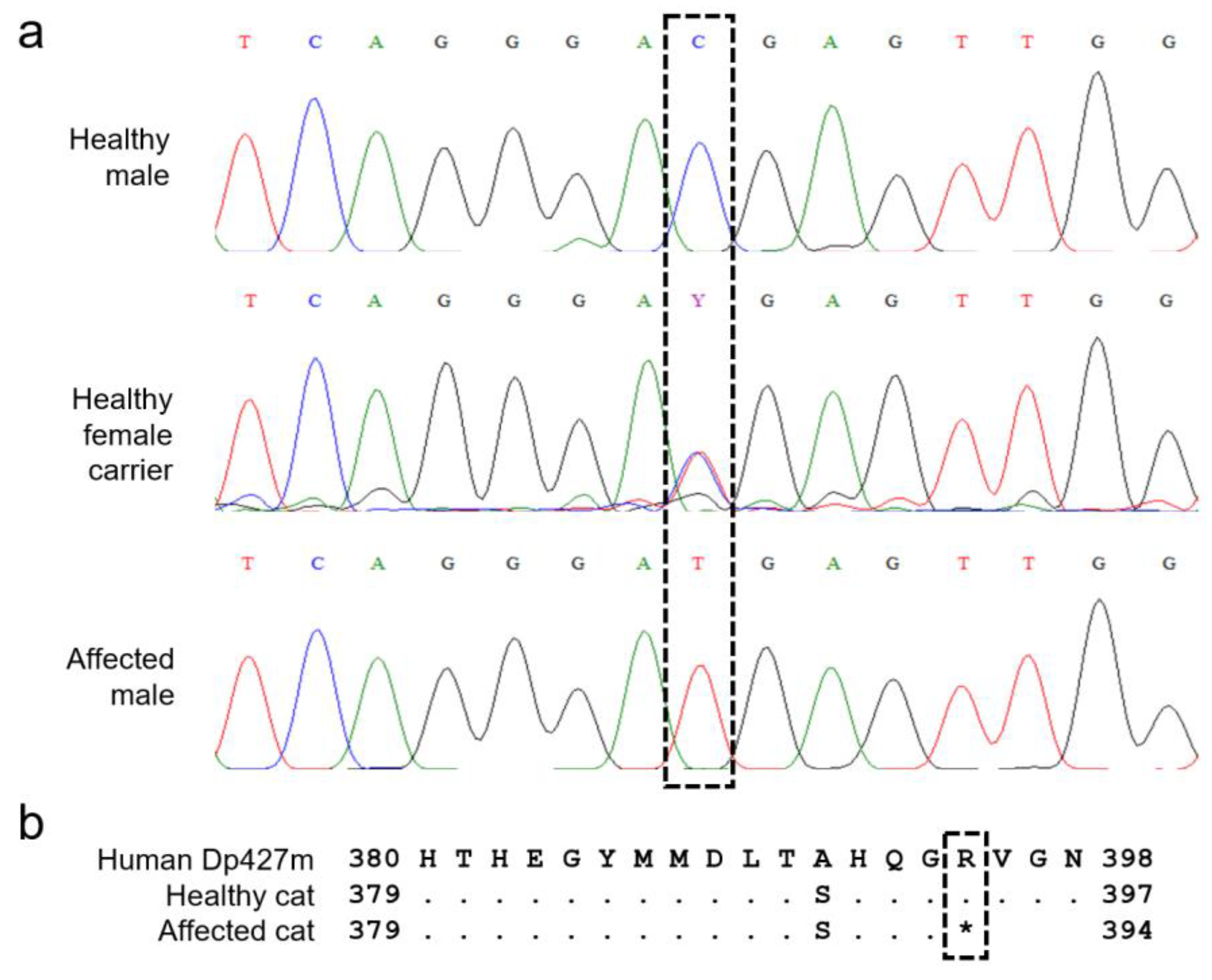 Animals 12 02928 g003